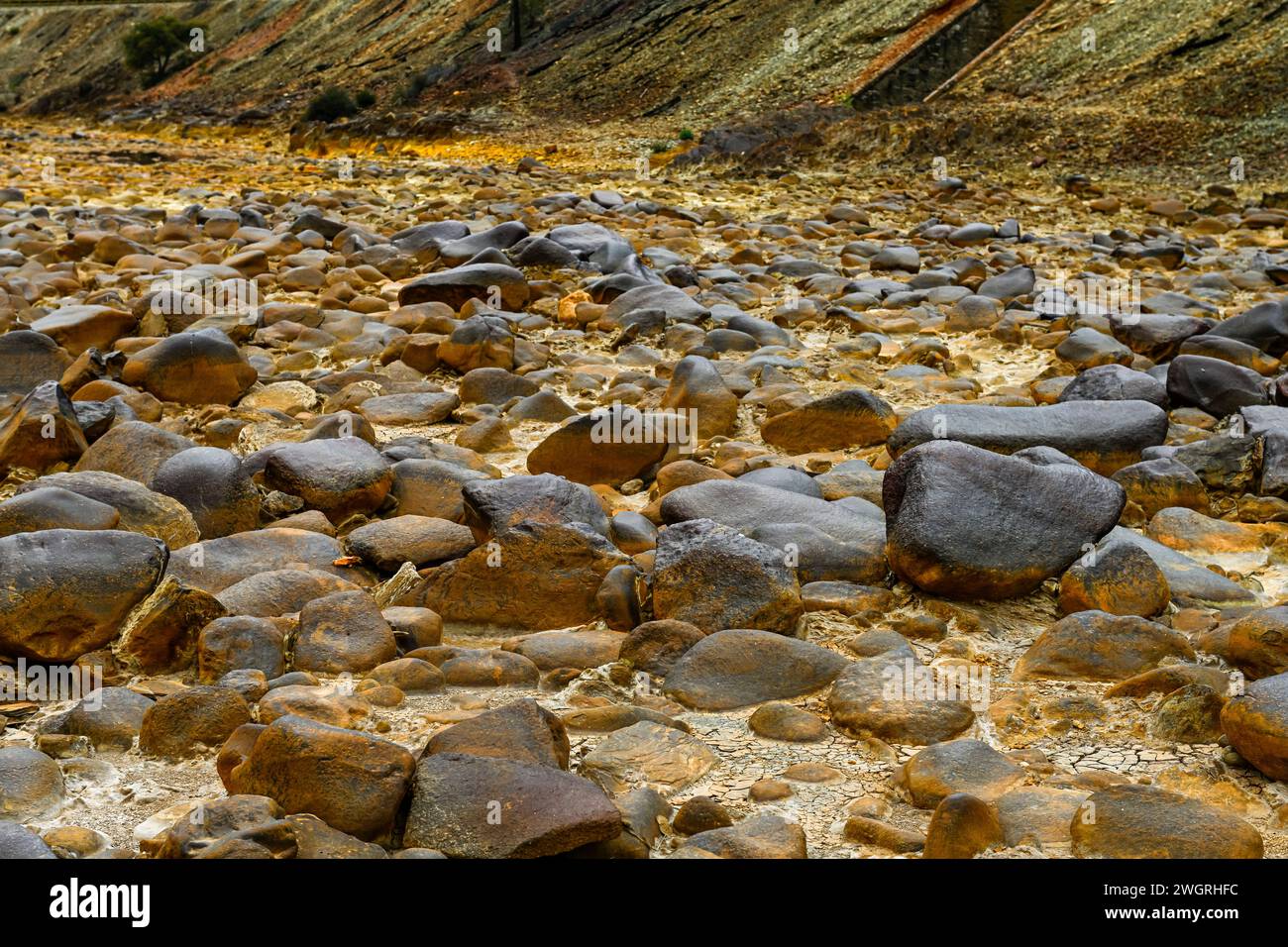Yellowish terrain hi-res stock photography and images - Alamy