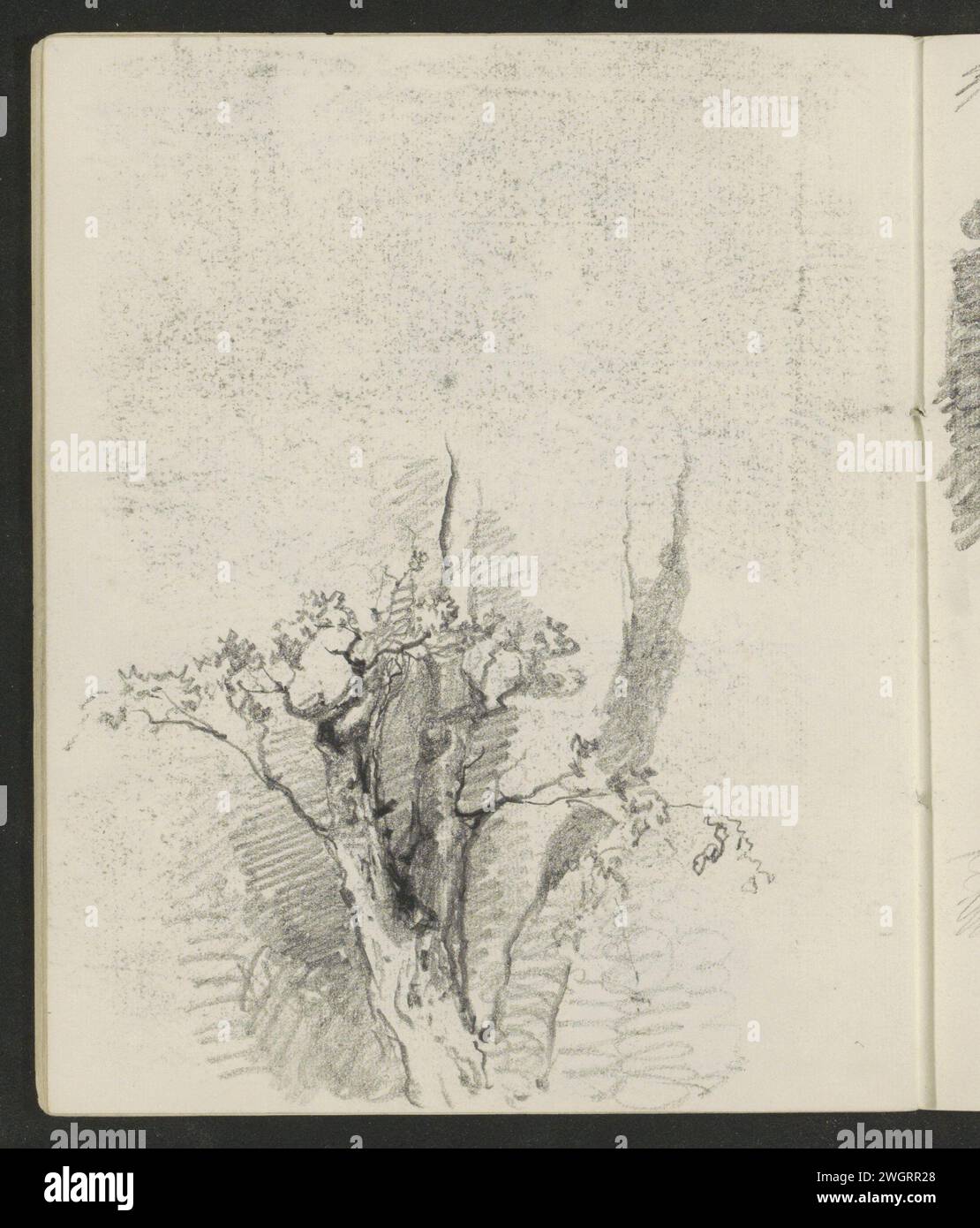 Tree in leaf, 1858  Page 16 Verso from a sketchbook with 19 sheets.  paper. pencil  trees Stock Photo