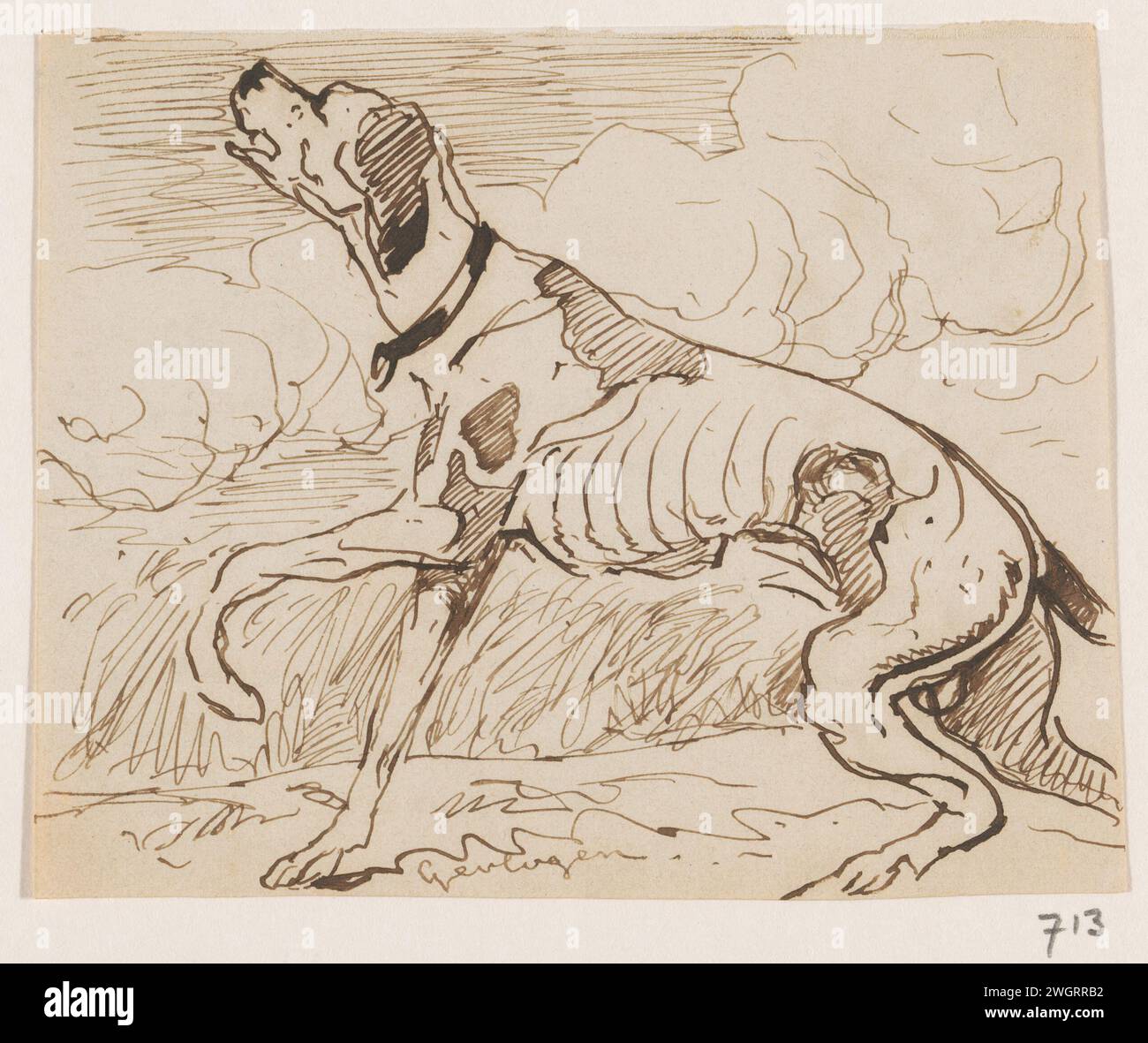 Flewed, Johannes Taventrate, 1840 - 1880 drawing Sitting hunting dog looks up.  paper. ink pen hunting dogs. dog Stock Photo