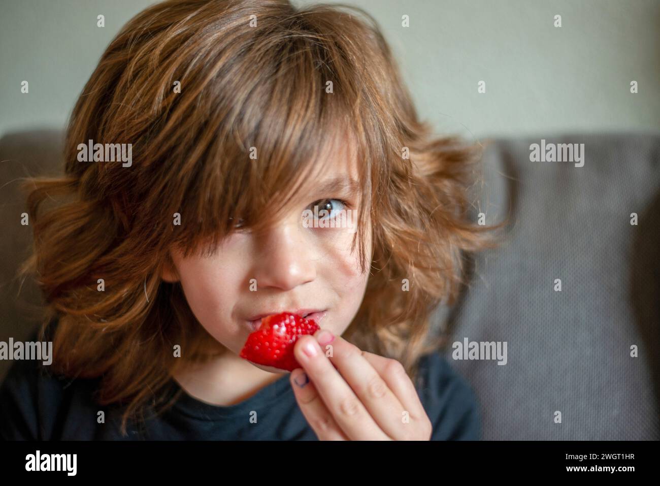 Young boy sitting on the sofa eating healthy strawberries and reading a book Stock Photo