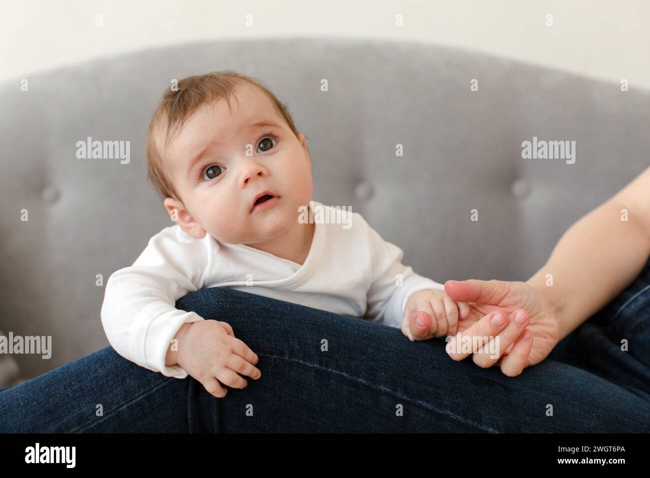 Portrait of cute little baby in casual clothes looking at camera while holding hand of crop anonymous person at home against blurred background in lit Stock Photo