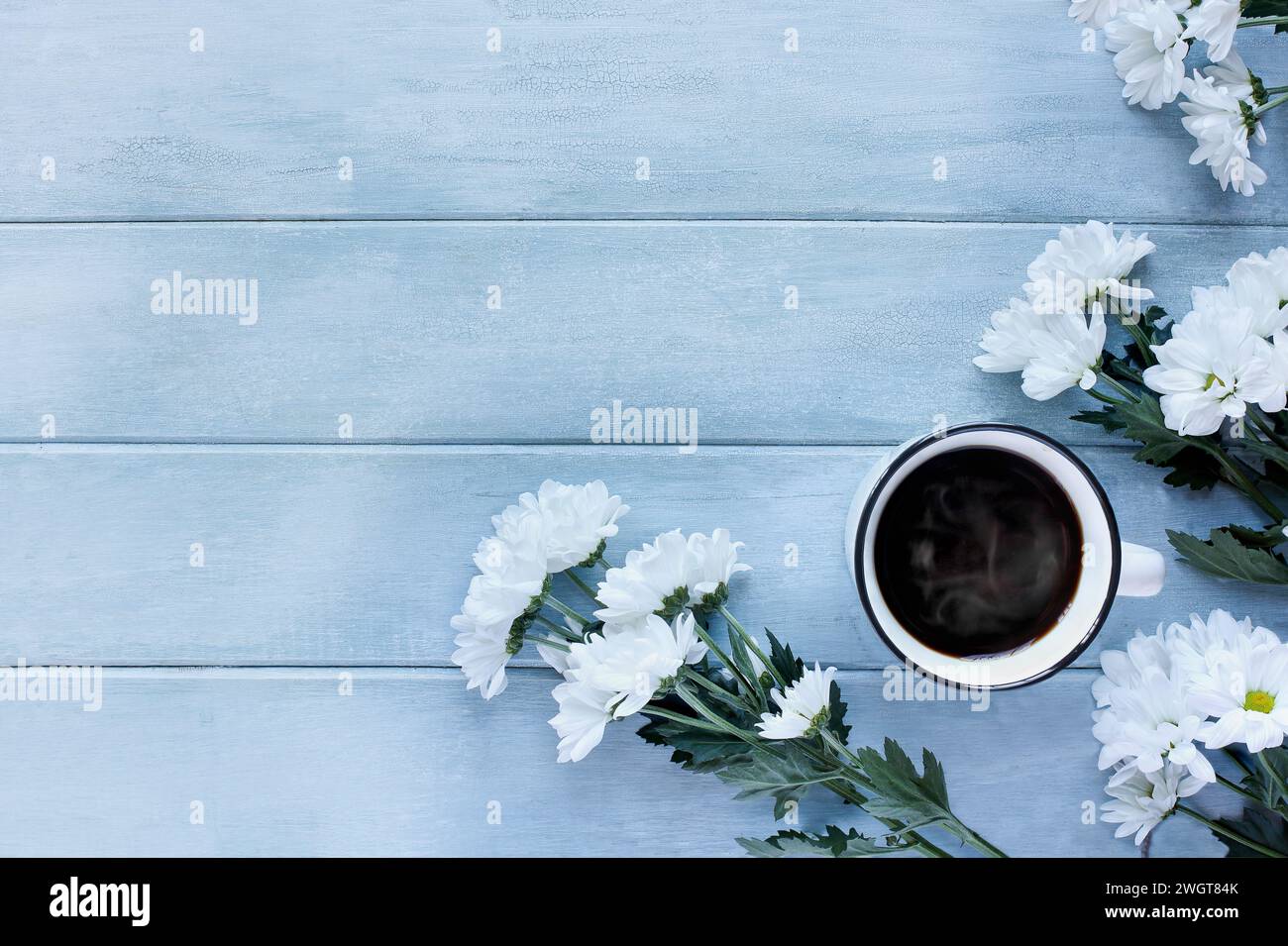 White enamel cup of hot steaming coffee surrounded by white Chrysanthemum flowers over a blue rustic table. Table top view. Directly above. Stock Photo