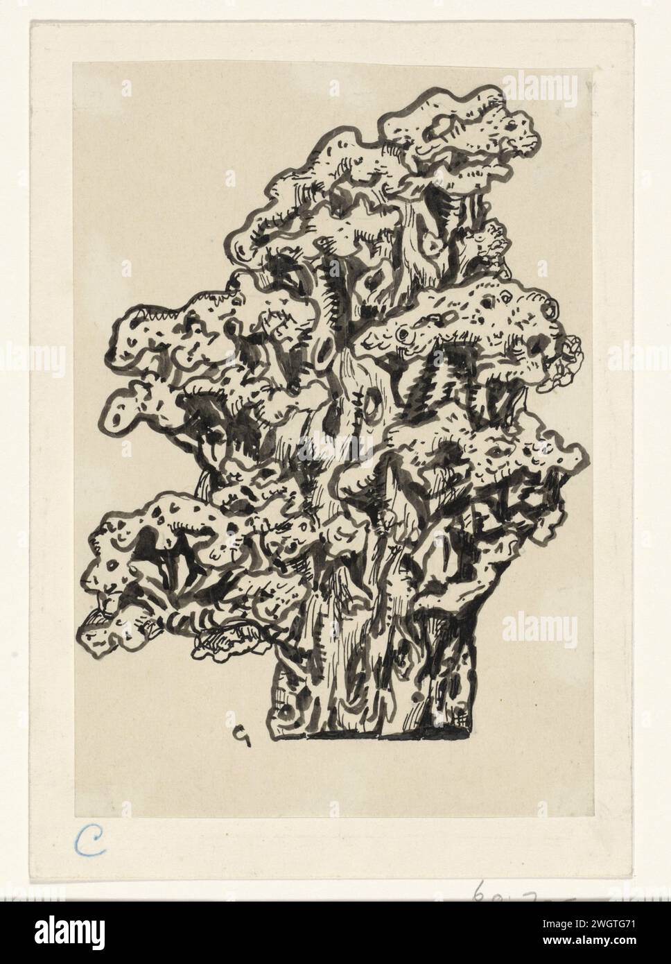 Coral, Leo set, 1891 - 1941 drawing   paper. India ink (ink). pencil pen / brush coelenterata: coral Stock Photo
