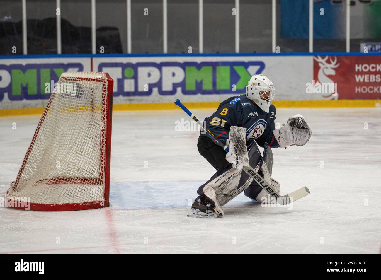 BUDAPEST FEBRUARY 2 MAC Budapest (Budapest Jégkorong Akadémia Hockey