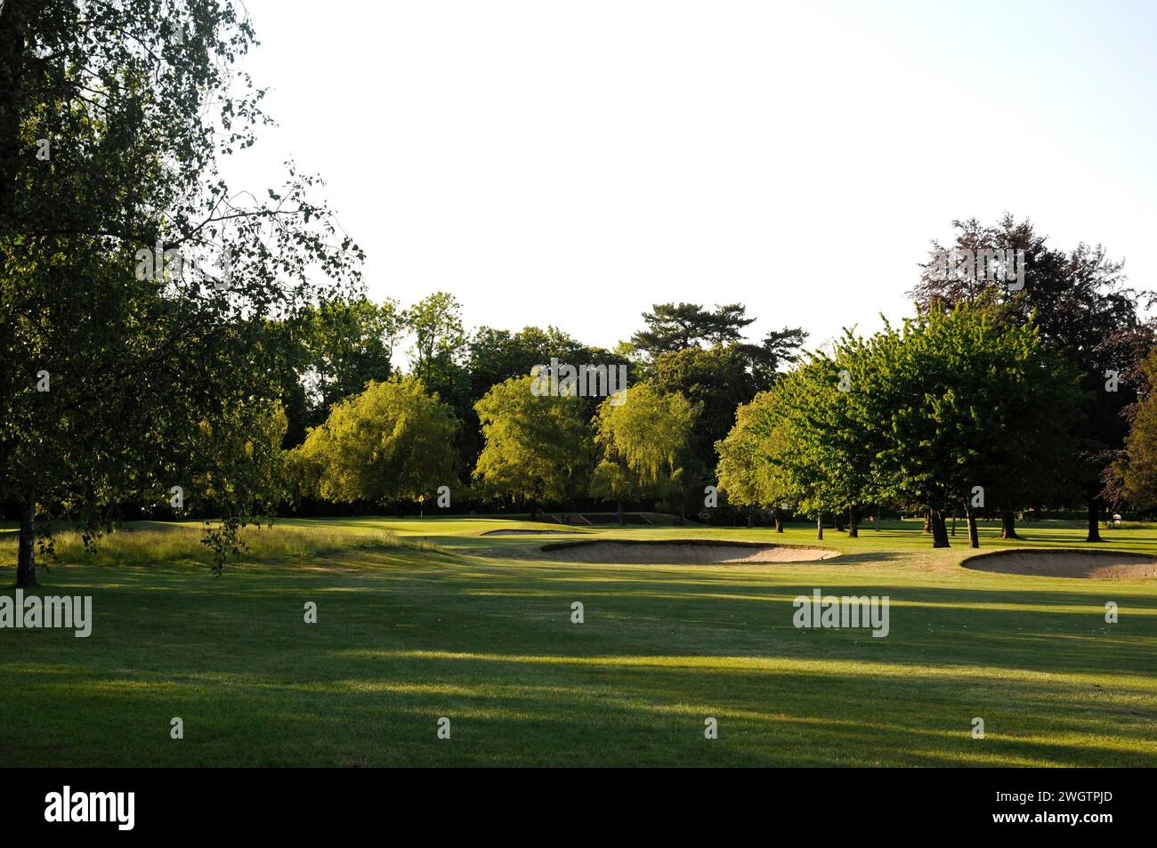 View towards 2nd Green with bunkers and rough grass, Woodcote Park Golf Club, Coulsdon, Surrey, England Stock Photo