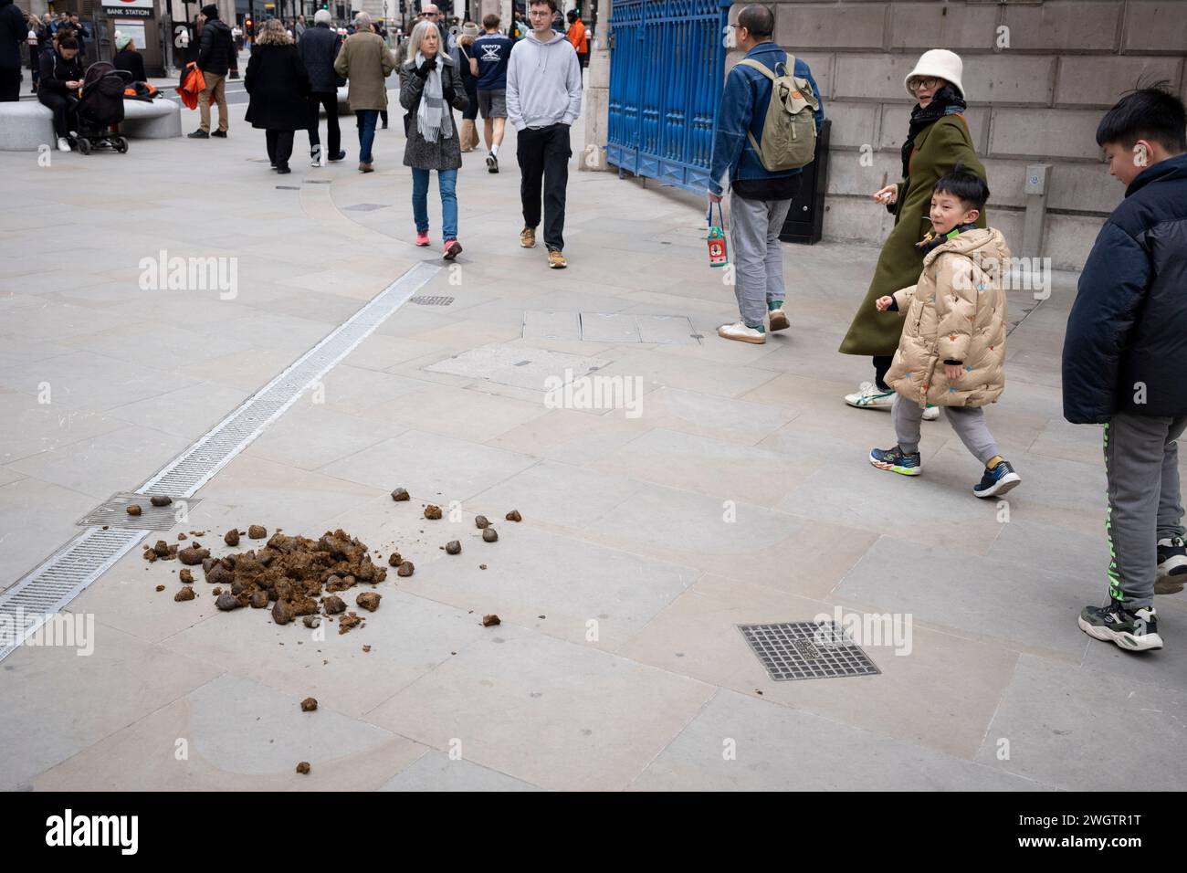 Members of the public walk around manure dropped by a City Police horse in the City of London, the capital's financial district, on 6th February 2024, in London, England. Stock Photo