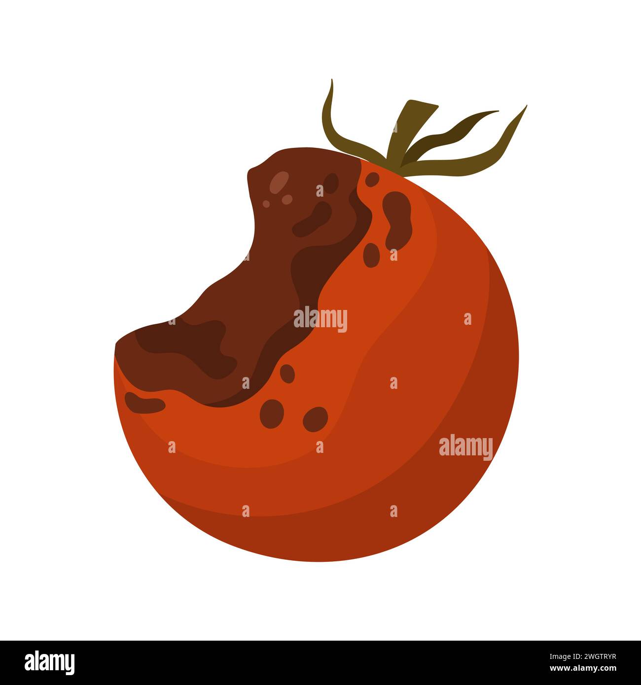 Damaged rotten tomato. Bad unhealthy food from kitchen litter, moldy expired vegetable cartoon