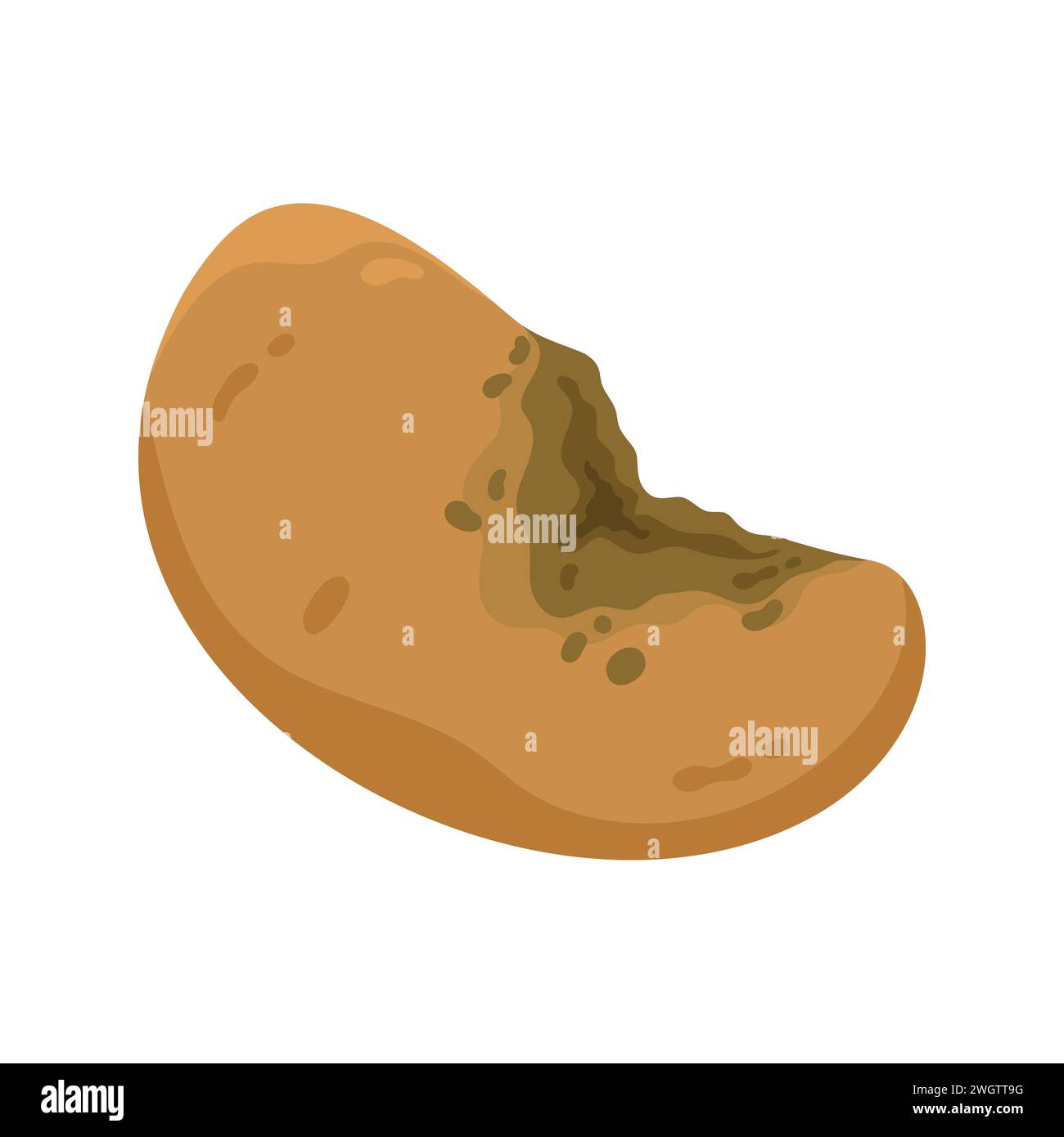 Damaged rotten potato. Bad old unhealthy food from kitchen litter