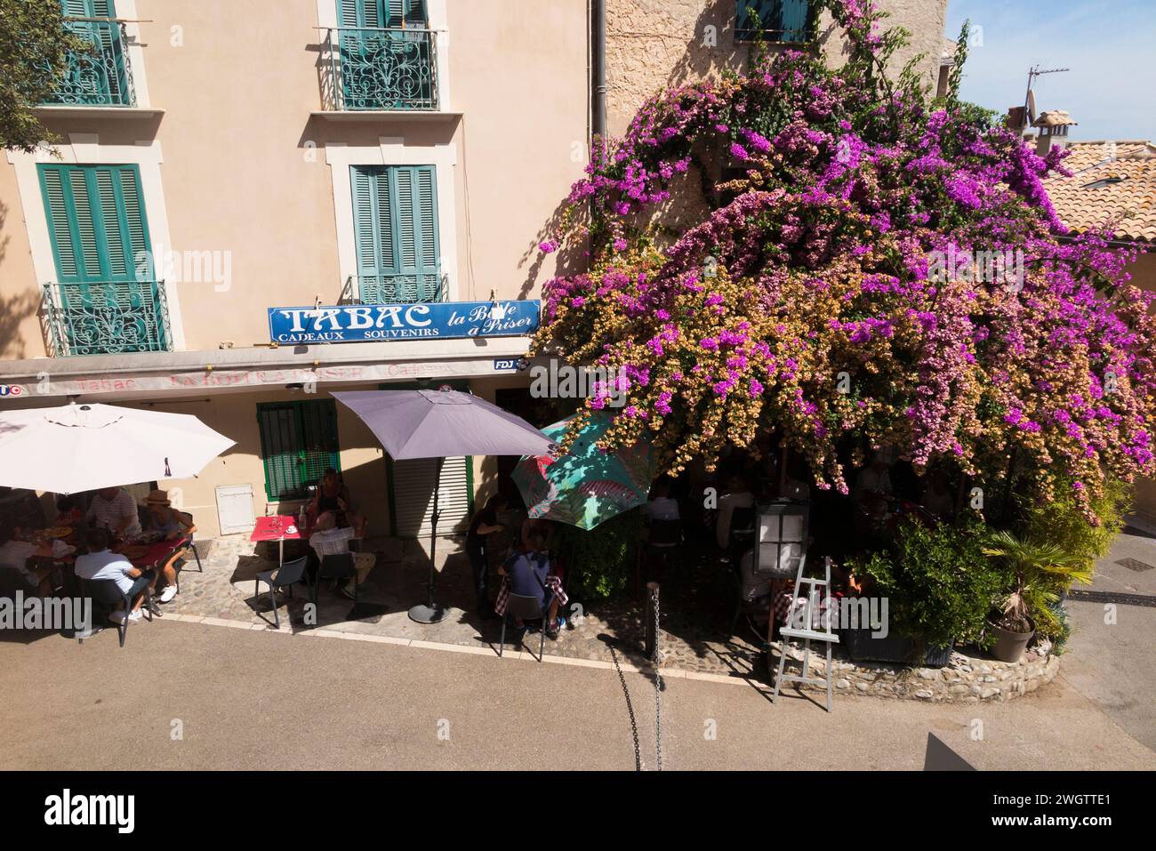 Bureau de tabac with flowering bougainvillea covering walls, in old village of Haut-de-Cagnes, Cagnes-sur-Mer, French Riviera town near Nice. France. (135) Stock Photo
