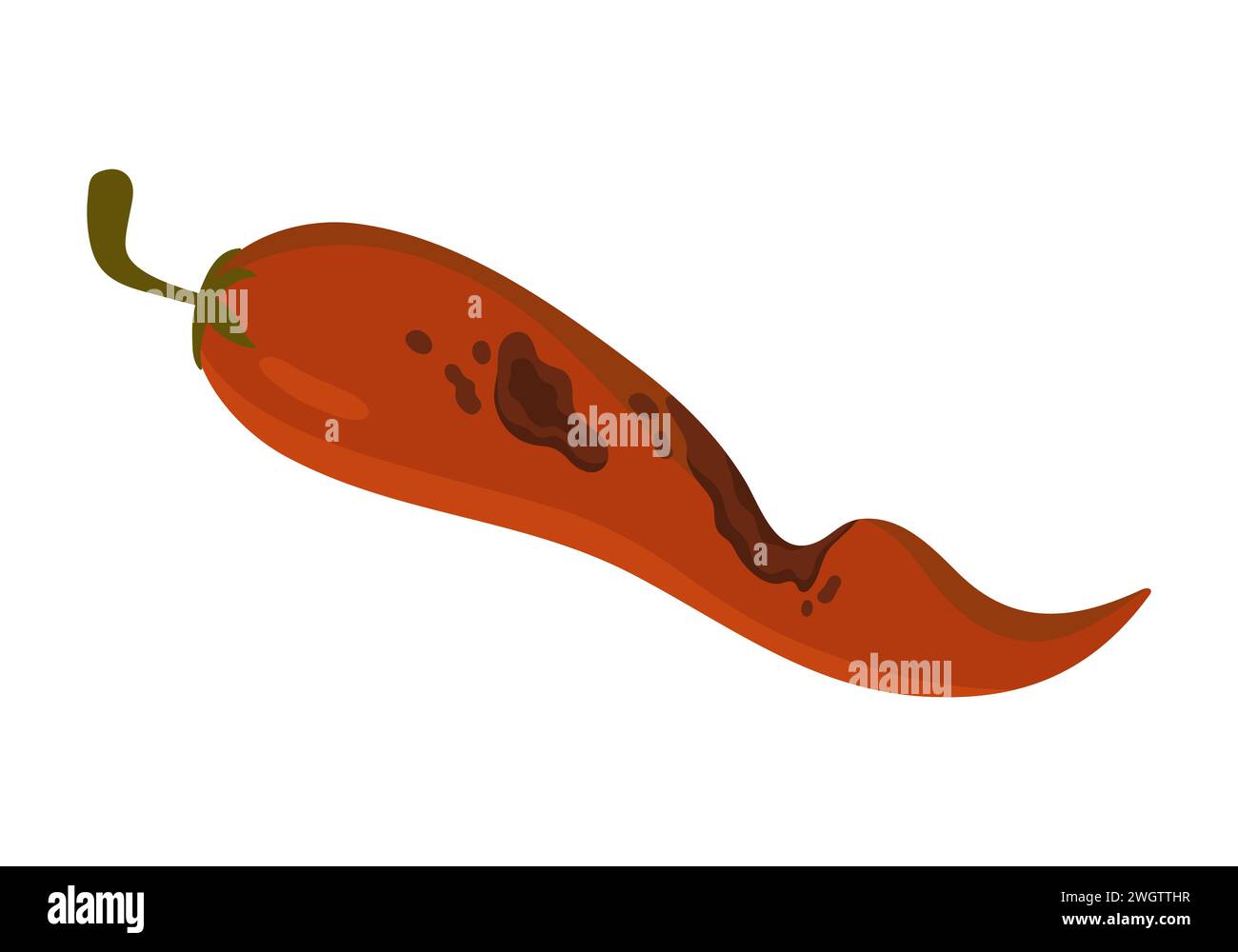 Old rotten chilli pepper. Bad unhealthy food from kitchen litter, moldy