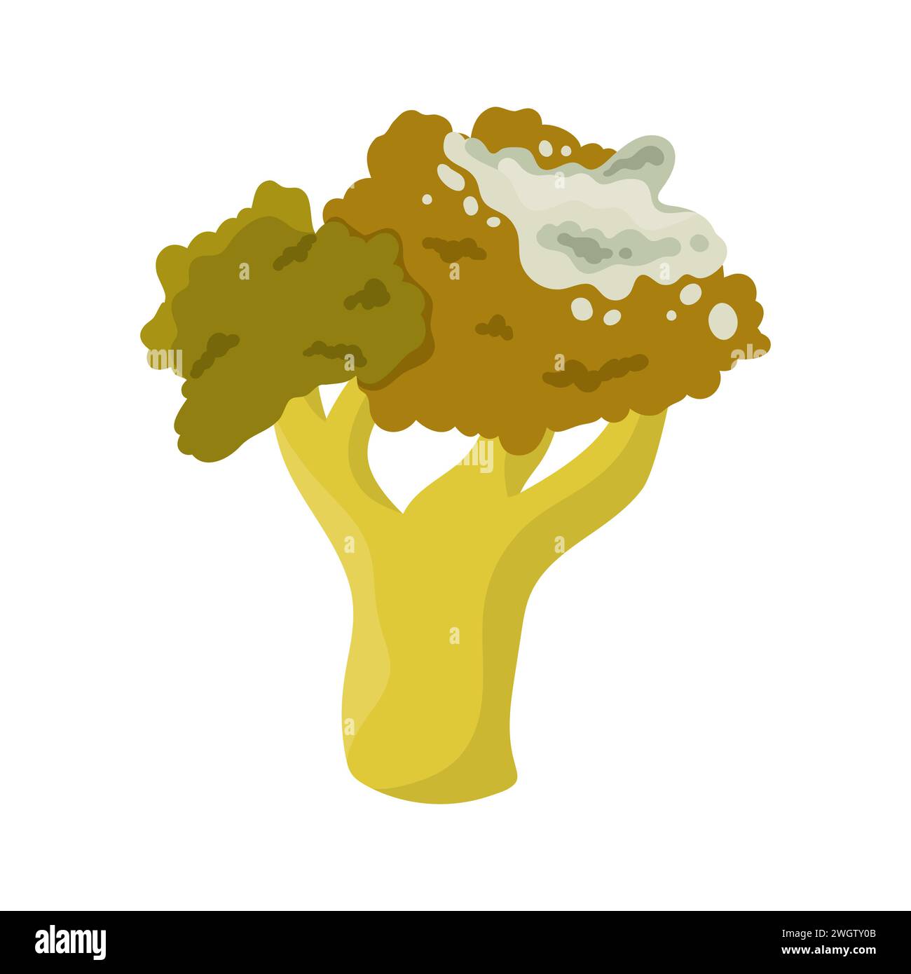 Expired Vegetable Stock at Linwood Anderson blog