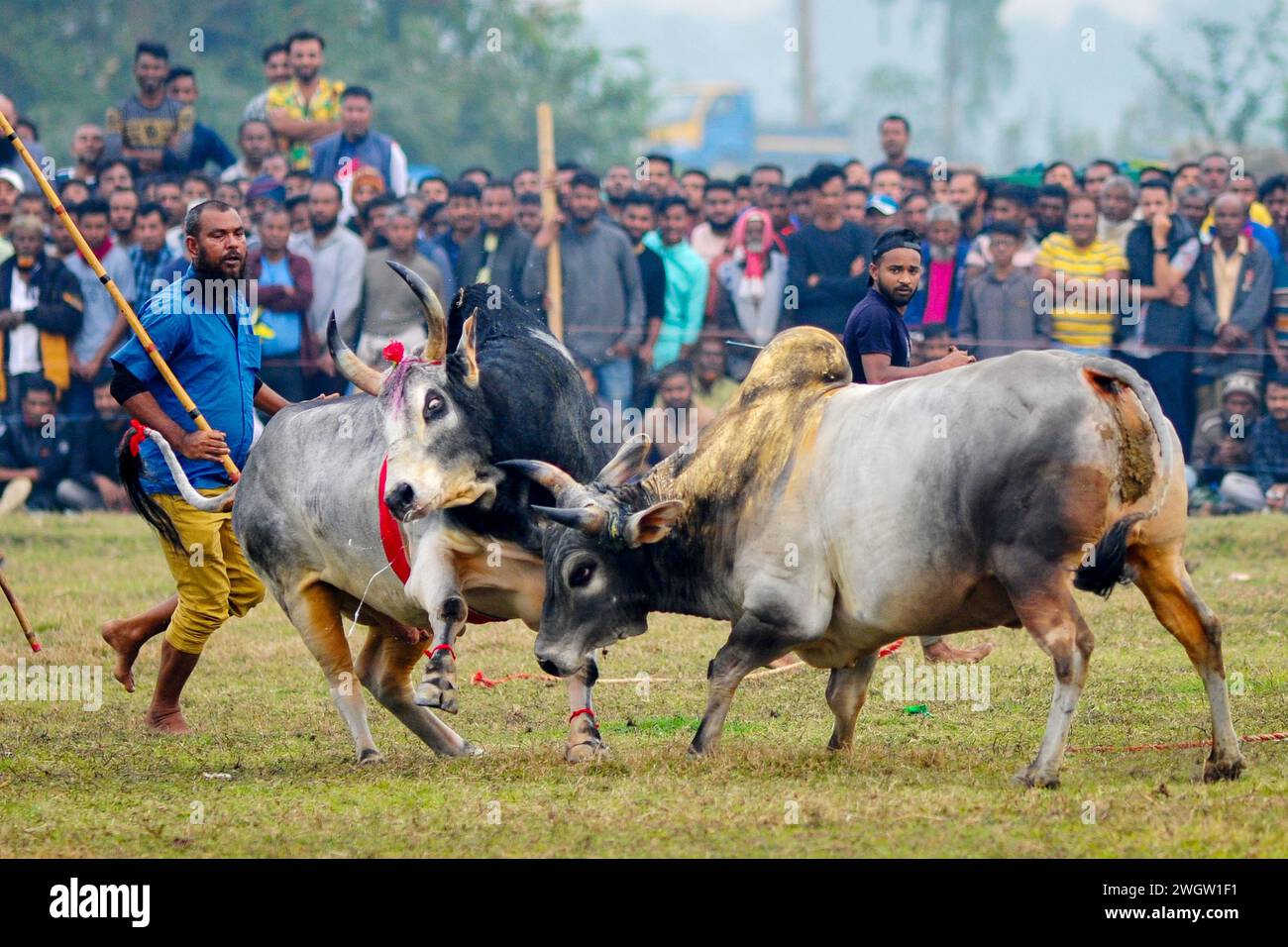 Mast ayollar bilan jinsiy aloqani tomosha qiling