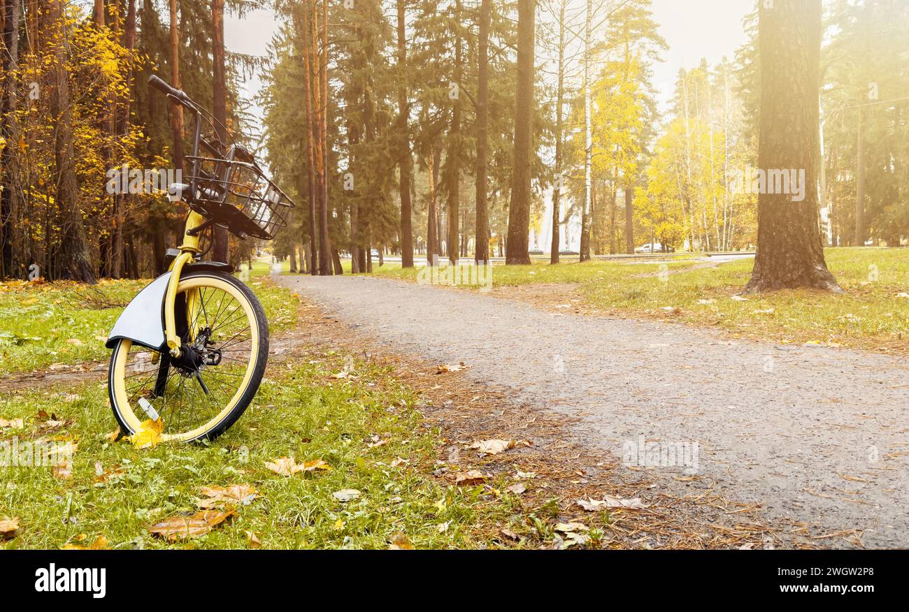 Bicycle banner. Eco bike transport in nature, forest, park. Banner background Stock Photo