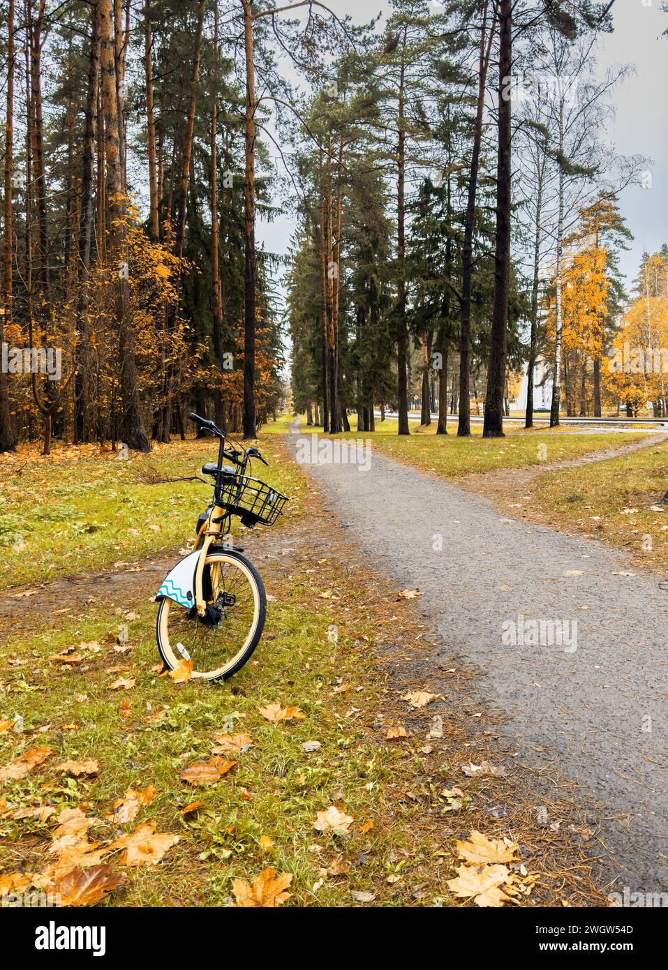 Eco bicycle yellow bike hi-res stock photography and images - Alamy