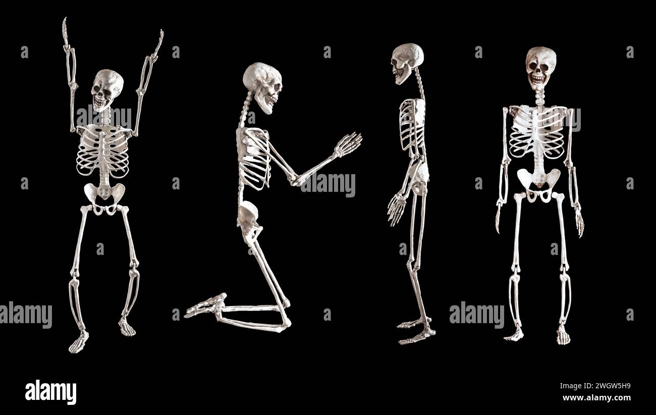 Human skeletons set isolated on black background Stock Photo - Alamy