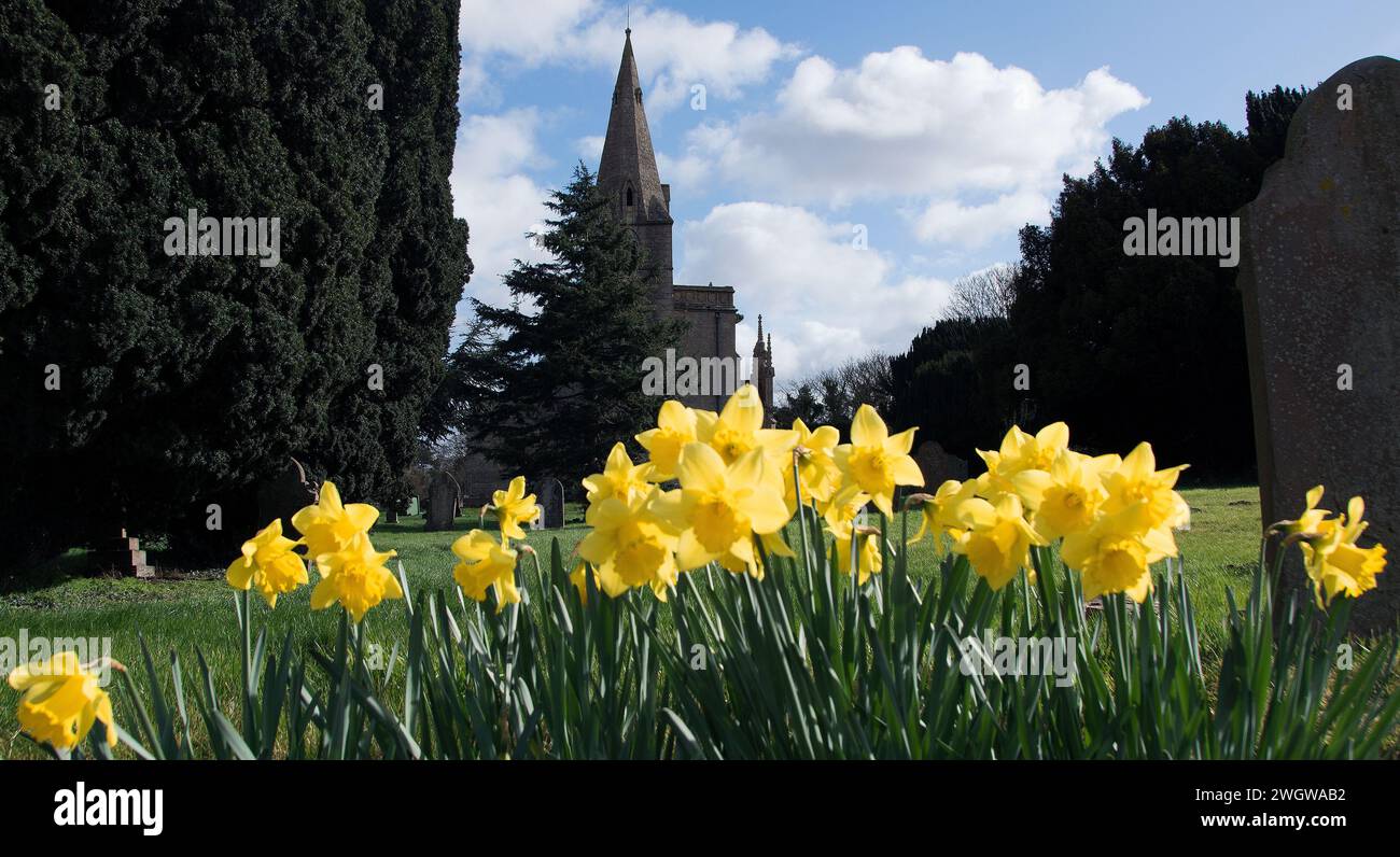 St Bartholomews Church Welby with spring daffodils Stock Photo