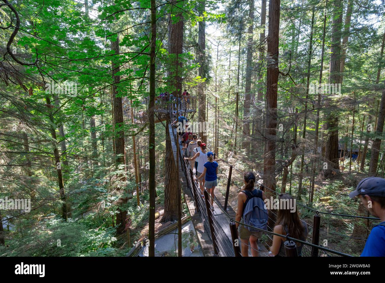 Crowds of people crossing a treetop suspension bridge at the Capilano Suspension Bridge Park in Vancouver, British Columbia Stock Photo