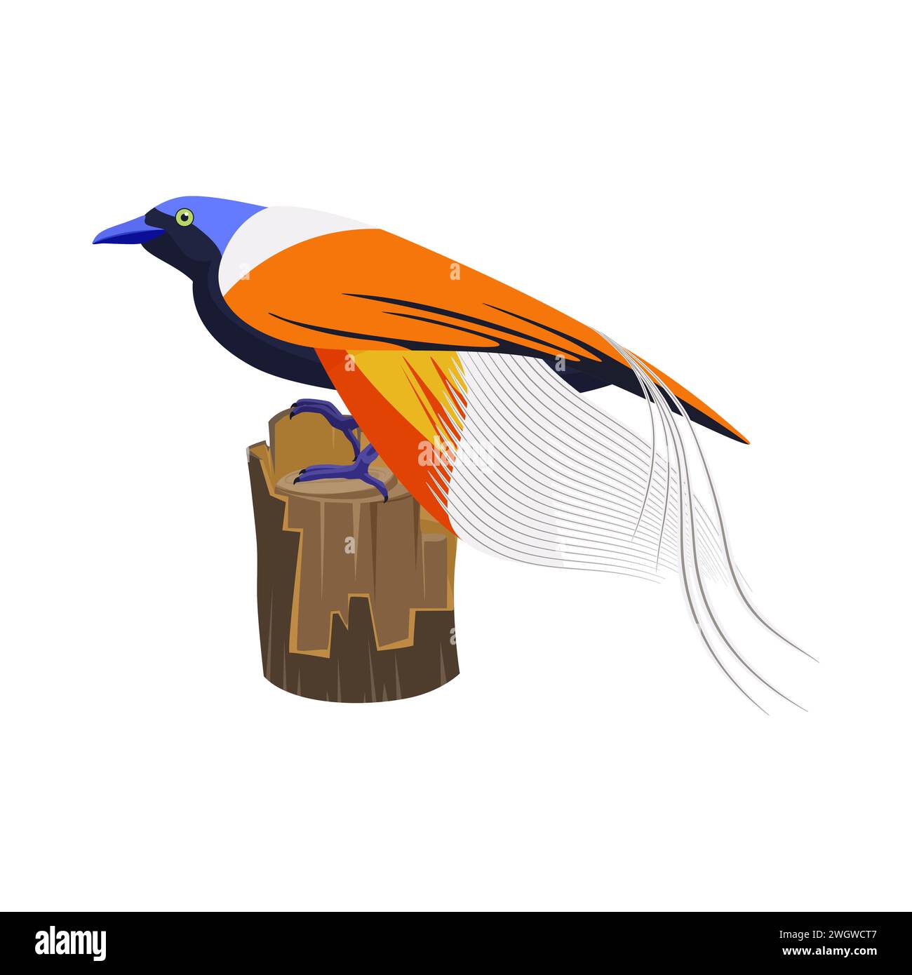 Asian Paradise Flycatcher bird with bright colorful feathers and long tail sitting on nest tree trunk vector illustration Stock Vector