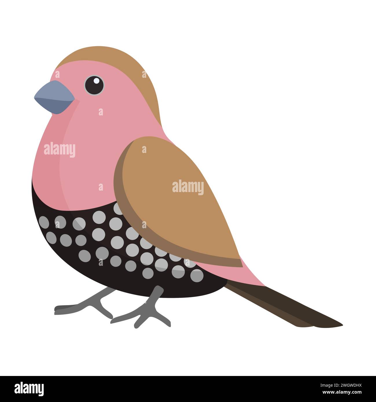 Little bird with pink and black feathers, wings and tail vector illustration Stock Vector