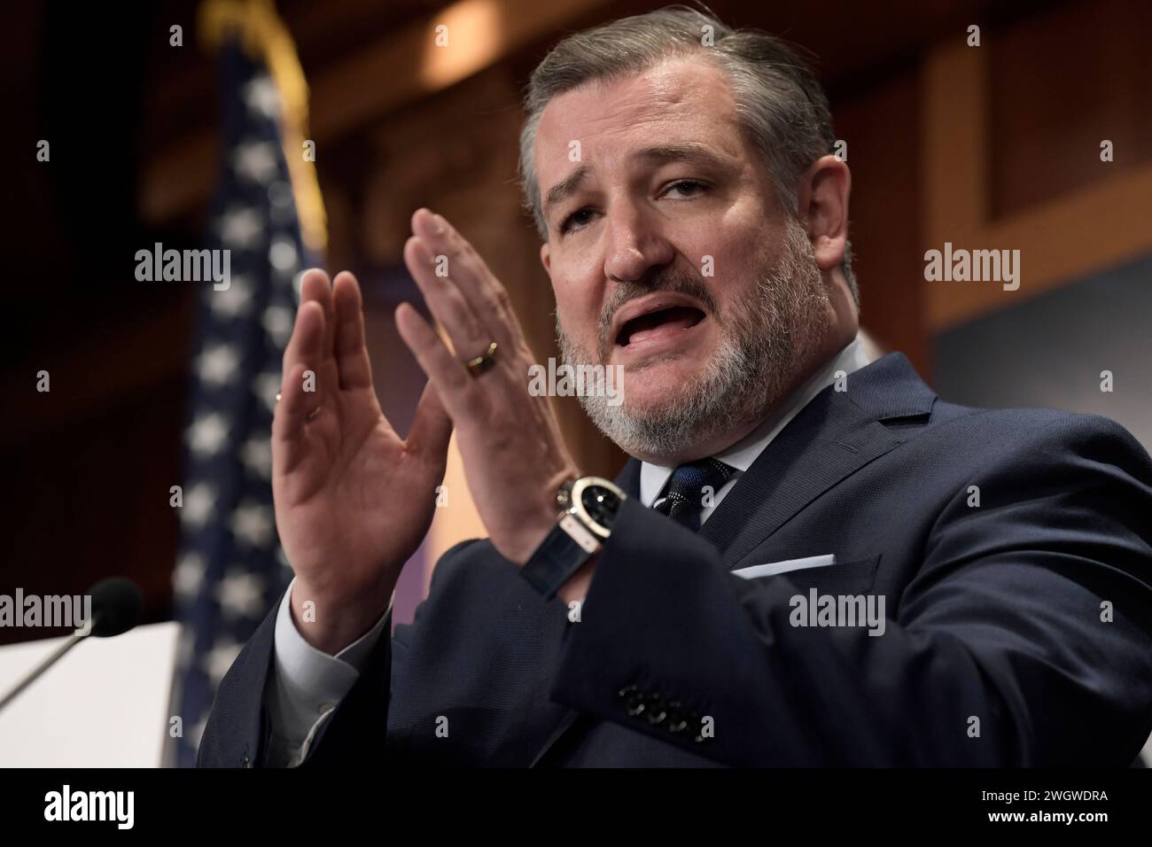 Washington, USA. 06th Feb, 2024. US Senator Ted Cruz(RTX) alongside