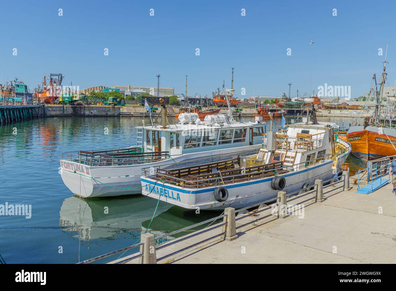 Mar del Plata, Argentina - January 15th, 2024: Passenger boats in the port of Mar del Plata in Buenos Aires. Stock Photo