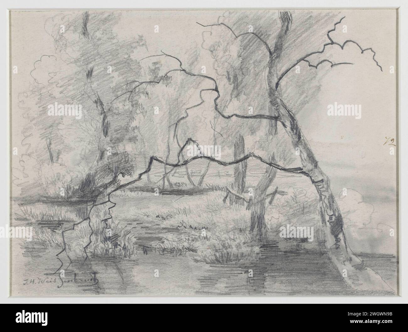 Trees in a swamp, Johan Hendrik Weissenbruch, 1834 - 1903 drawing paper ...