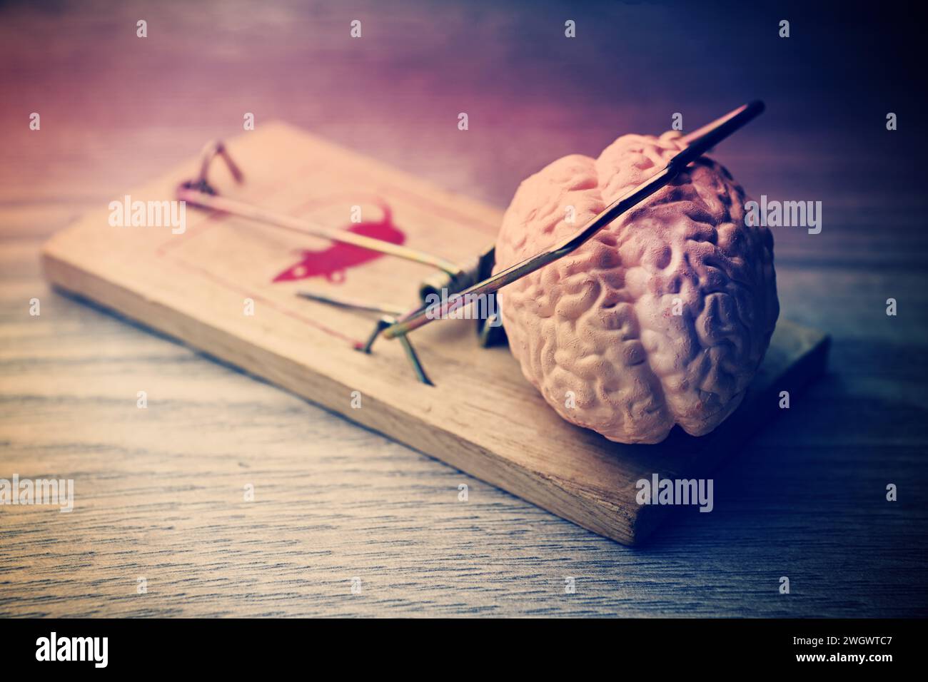 Brain In The Mouse Trap Stock Photo