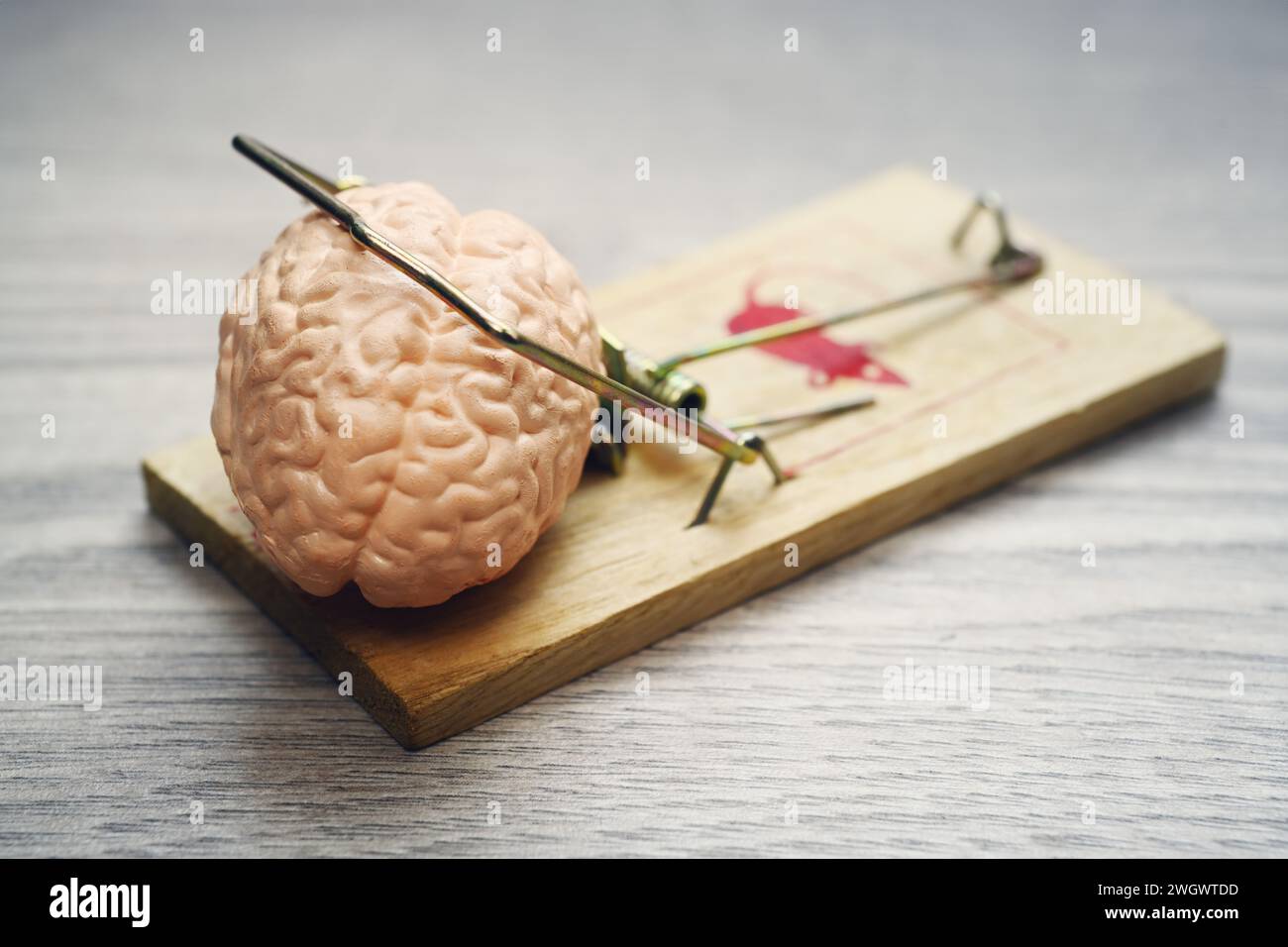 Brain In The Mouse Trap Stock Photo
