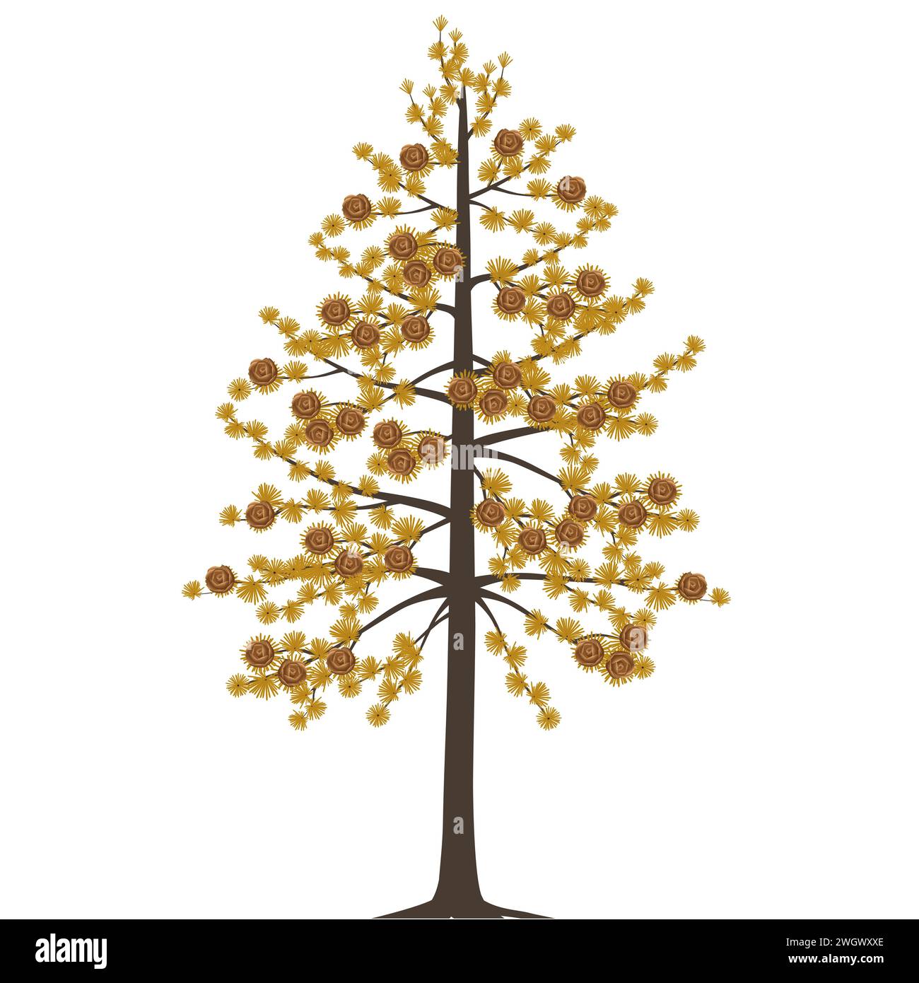 Dahurian gmelin larch tree in autumn on a white background. Stock Vector