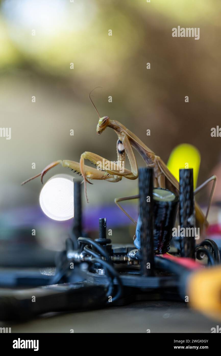 photo de drone fpv et stabilisé custom et DJI type mavic et inspire ansi que de course de drone racing Stock Photo