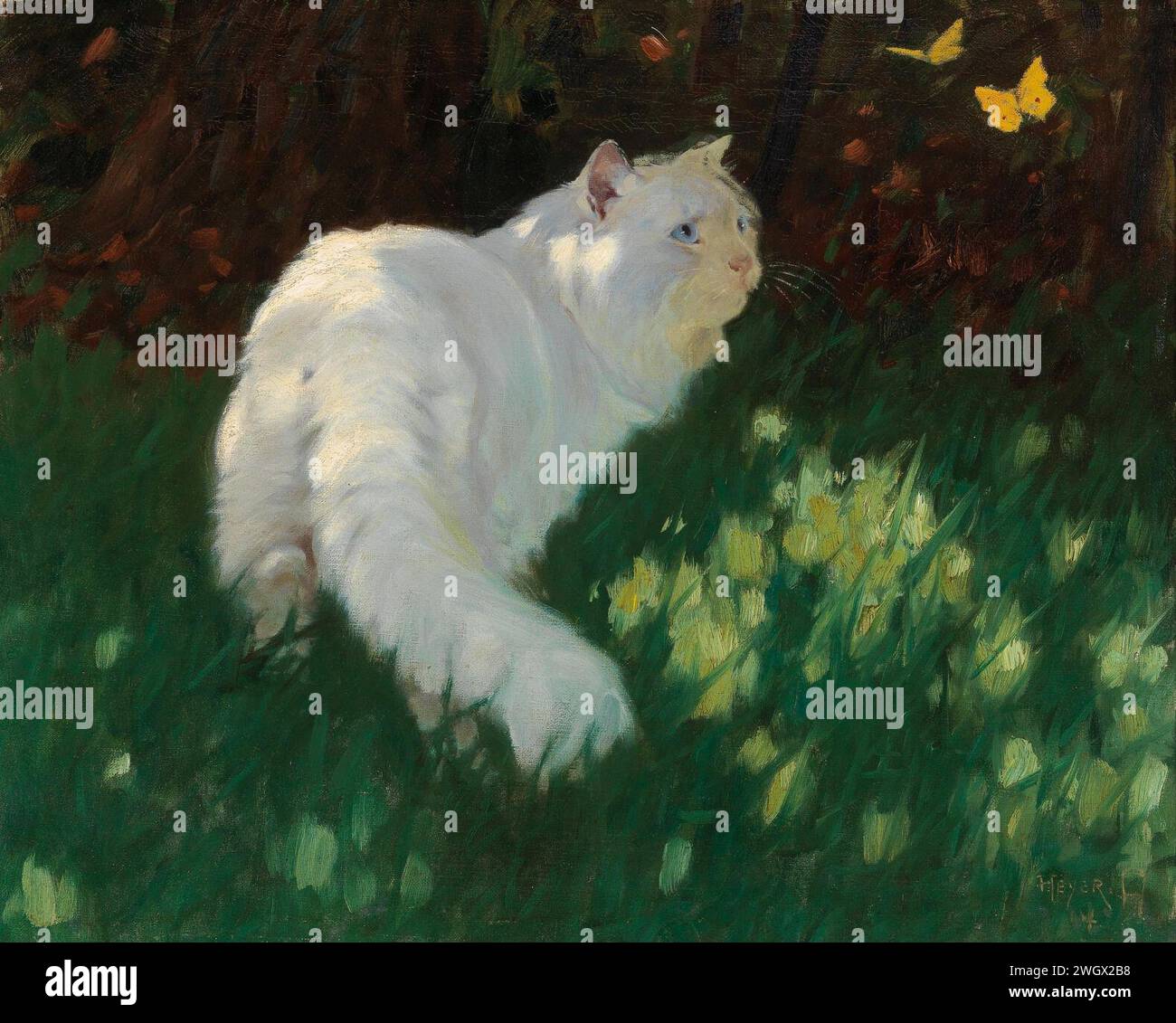 Arthur the cat hi-res stock photography and images - Alamy