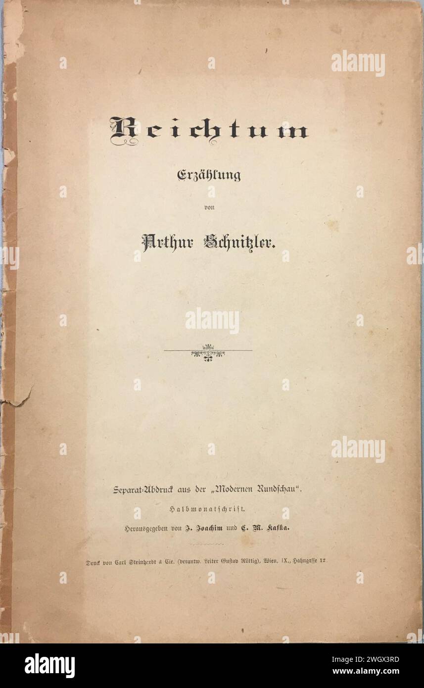 Arthur Schnitzler, Reichtum. Erzählung. Stock Photo