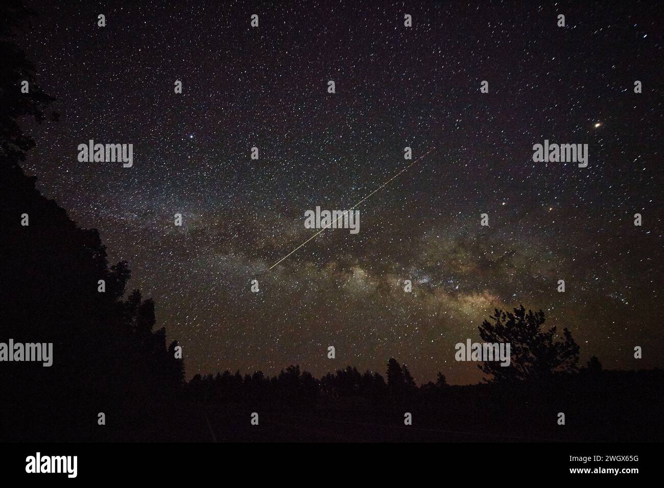 Milky Way and Meteor Over Silhouetted Trees in Sedona Night Sky Stock ...