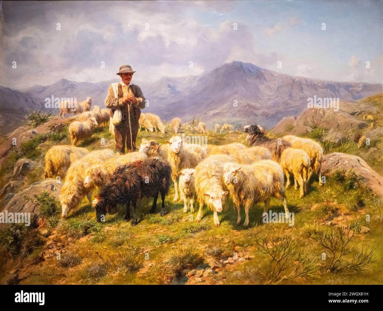 By rosa bonheur hi-res stock photography and images - Alamy