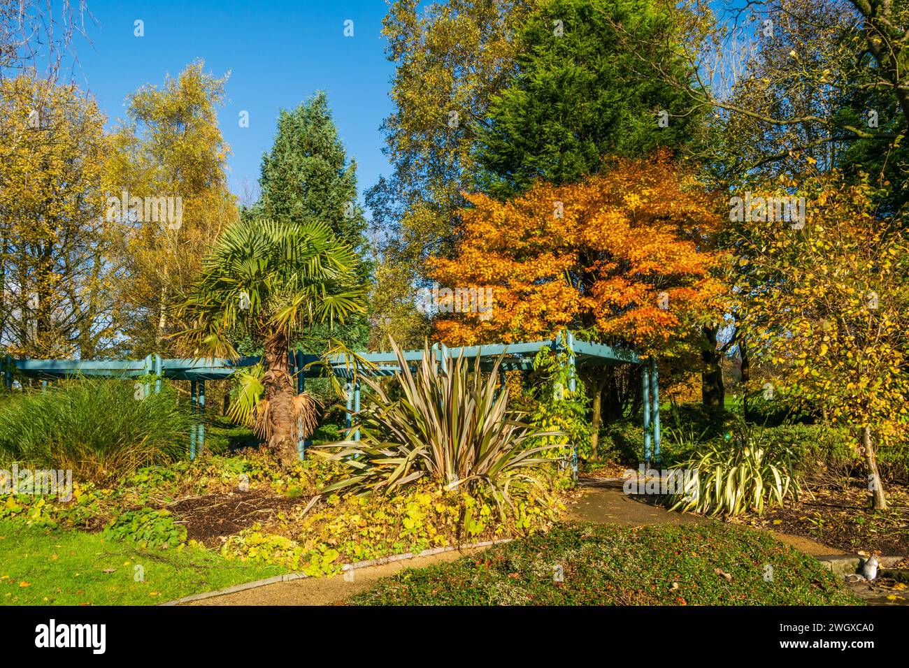 Autumn colour in Alexandra Park Stock Photo - Alamy