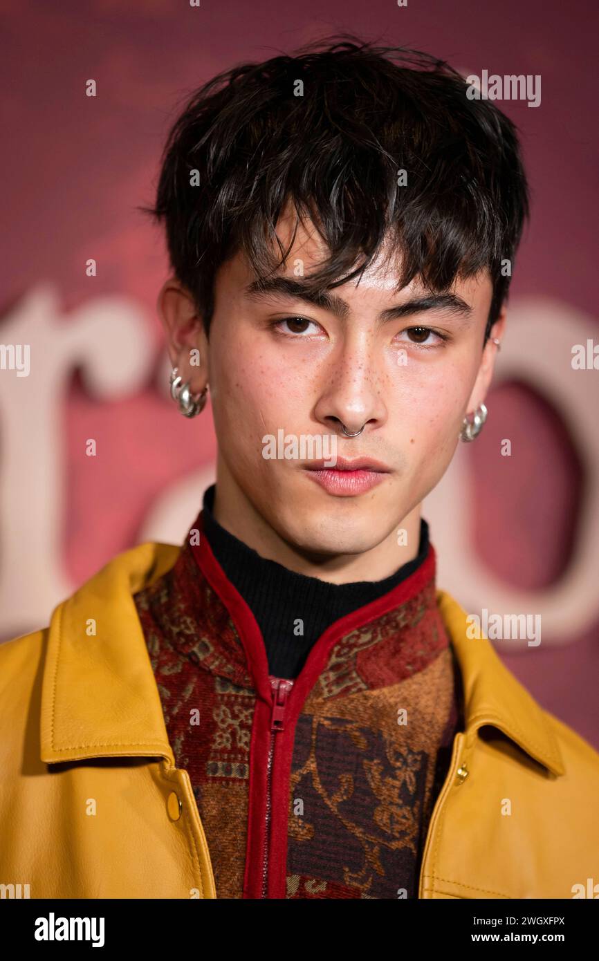 Raiko Gohara poses for photographers upon arrival for a special VIP ...