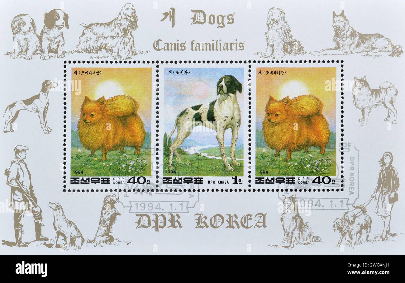 chinese new year 1994