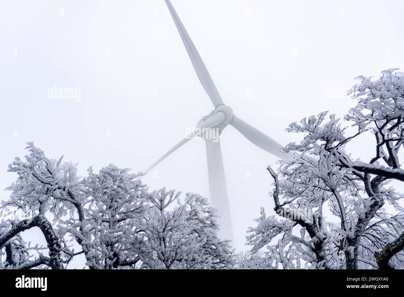 Low angle view of wind turbine in cold winter. sustainable energy topic ...