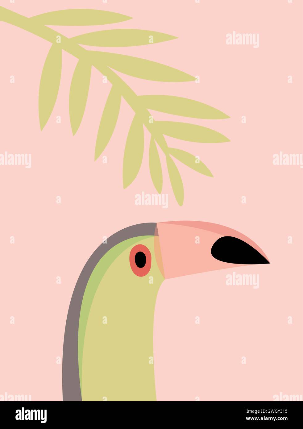 Toucan bird cartoon character. Vector illustration of a bright tropical ...
