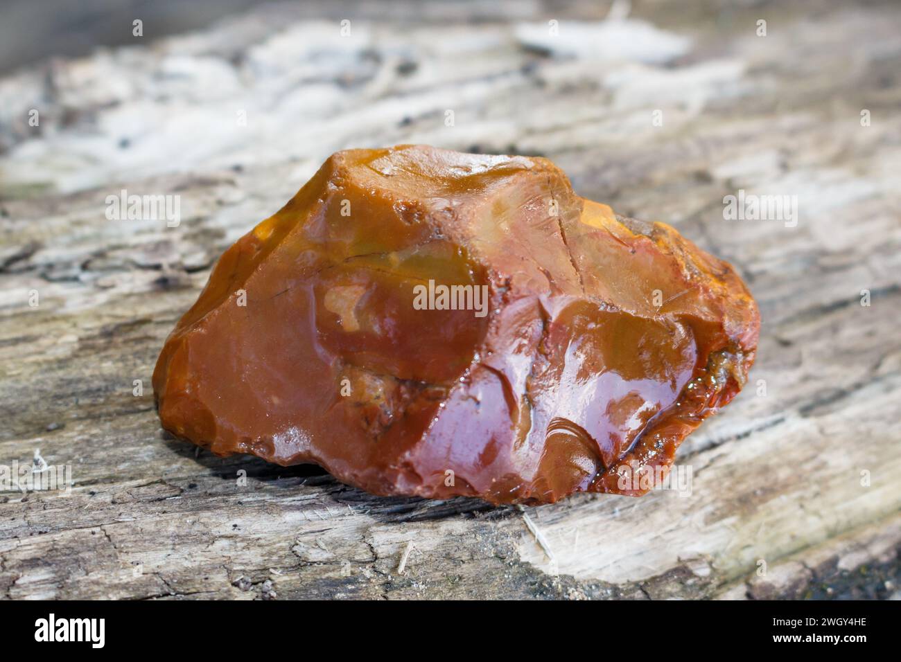 Stone Age flint tool with traces of retouching on the edge Stock Photo