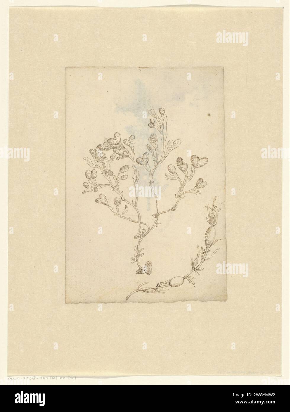 1095 骨董　古美術　乾隆年製　春画　花鳥文　香合　蓋物　1対　希少　時代物 ▽鴻▽清時代 陶磁器 乾隆年製 金絲琺瑯彩古月軒開窗花鳥紋胆瓶