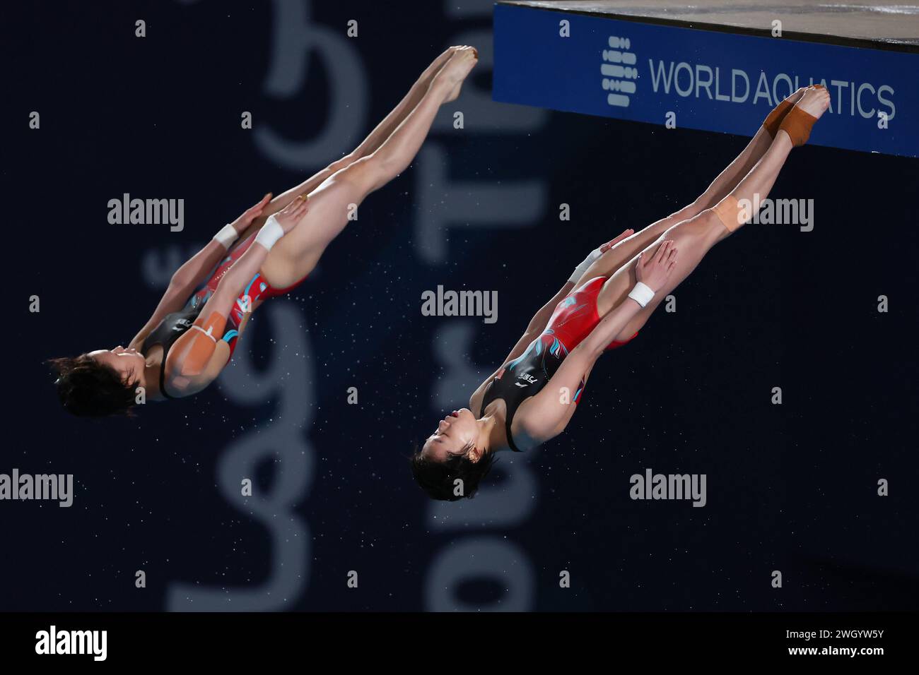 Doha, Qatar. 6th Feb, 2024. Yuxi Chen & Hongchan Quan (CHN) Diving ...