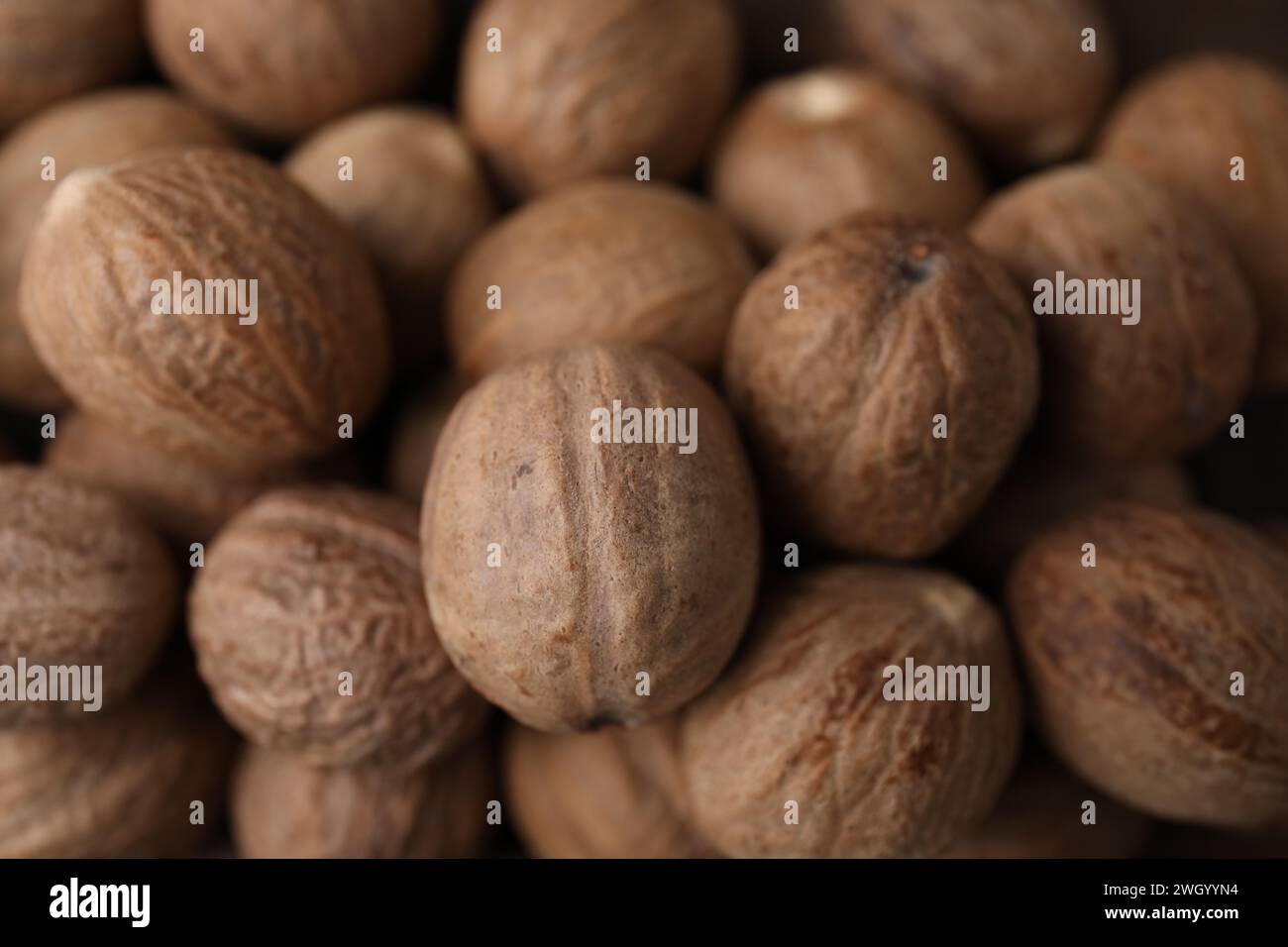 Many whole nutmegs as background, closeup view Stock Photo