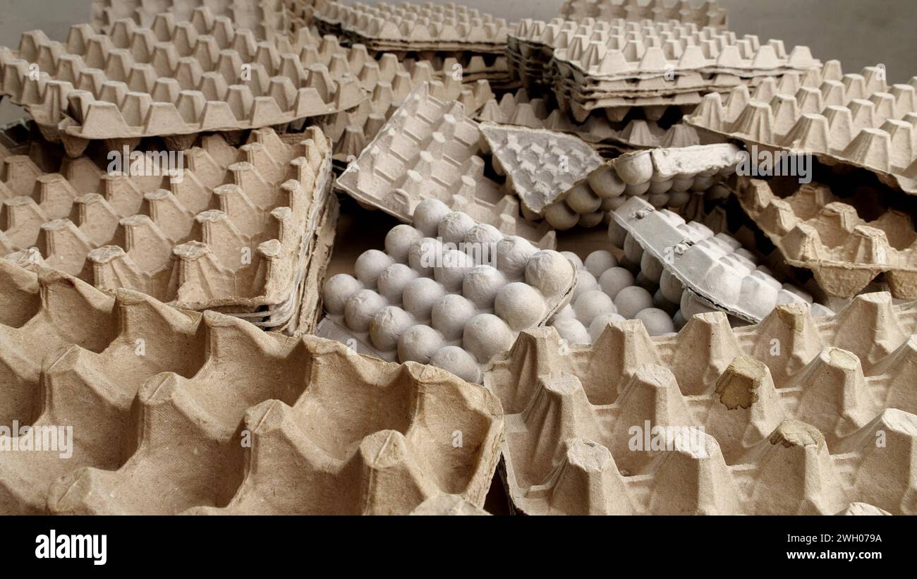 Egg Cartons. Recycle, Compost, and Upcycle Paper Stock Photo Alamy