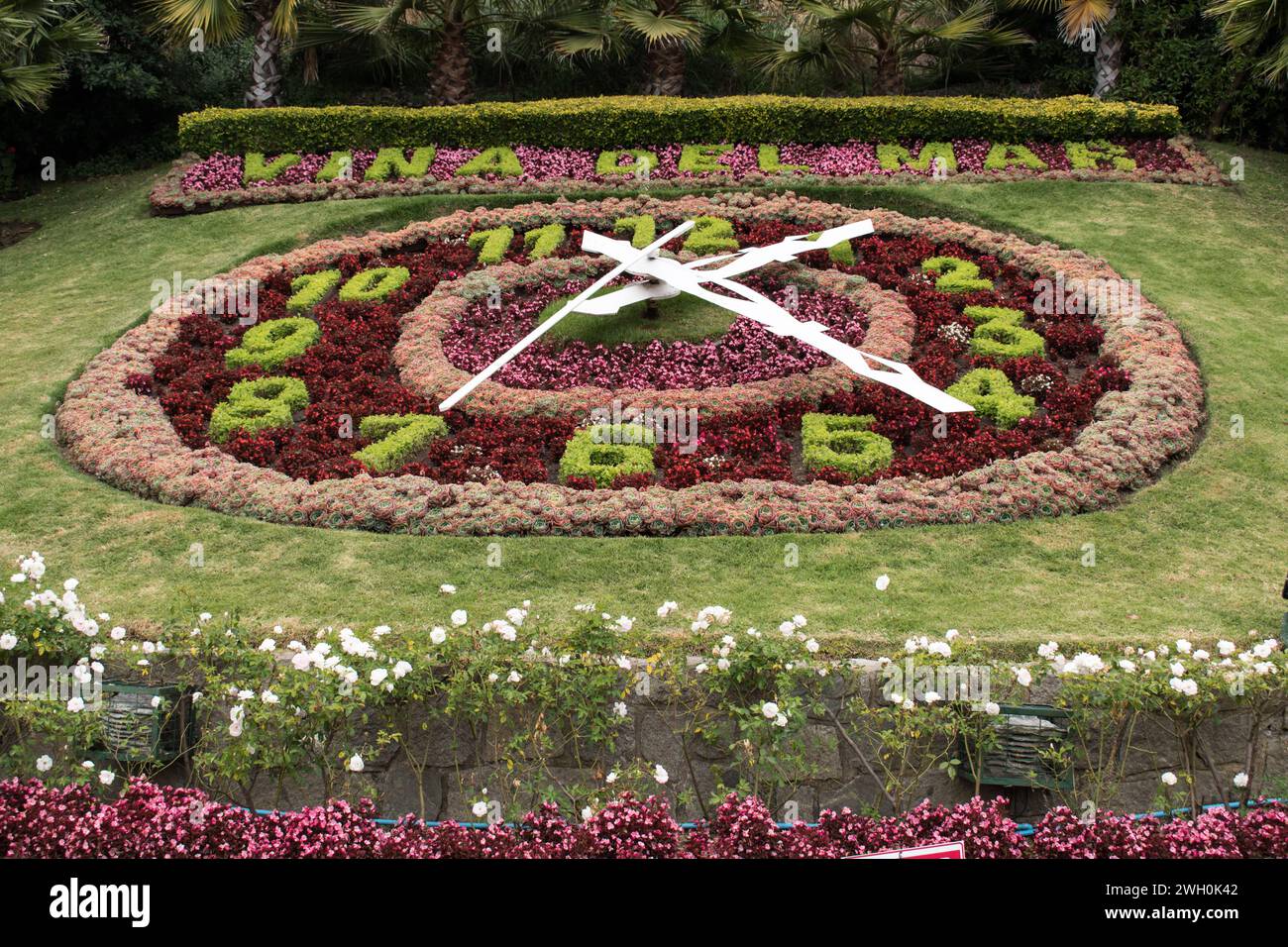 Flower Clock, is a prominent landmark located in Viña del Mar, Chile. It is a large clock made entirely of flowers. Stock Photo
