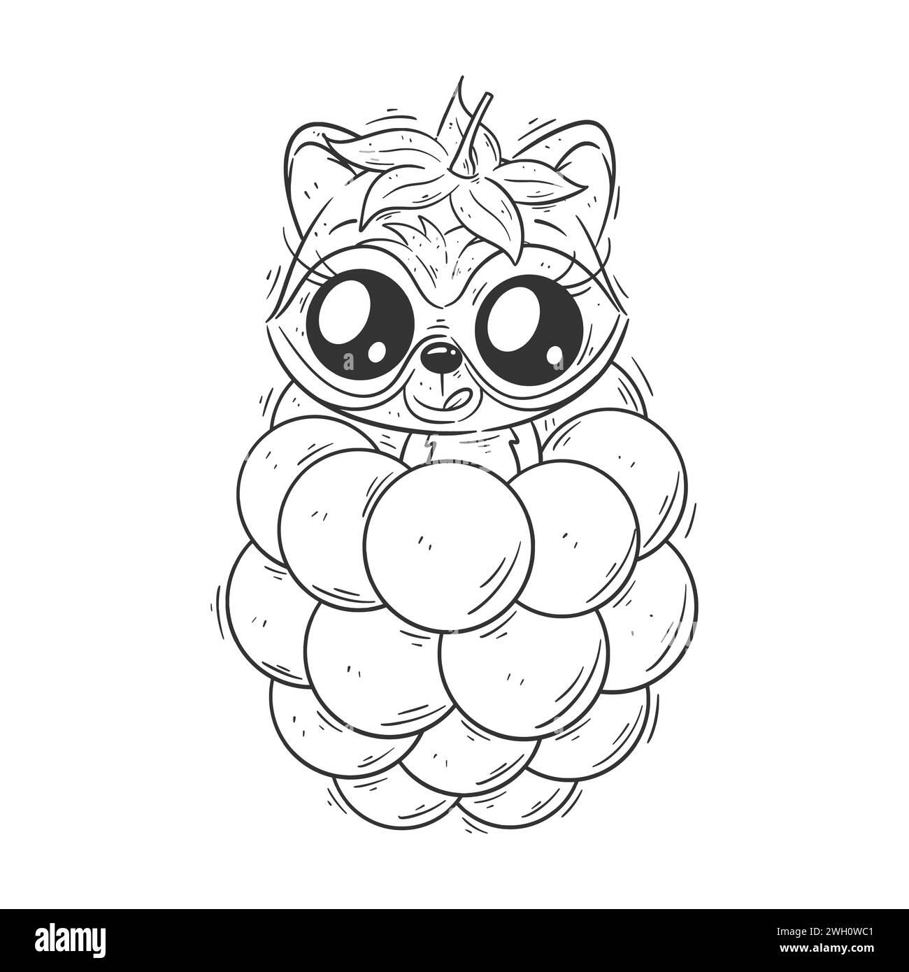 Cute raccoon is at the grapes for coloring Stock Vector Image & Art - Alamy