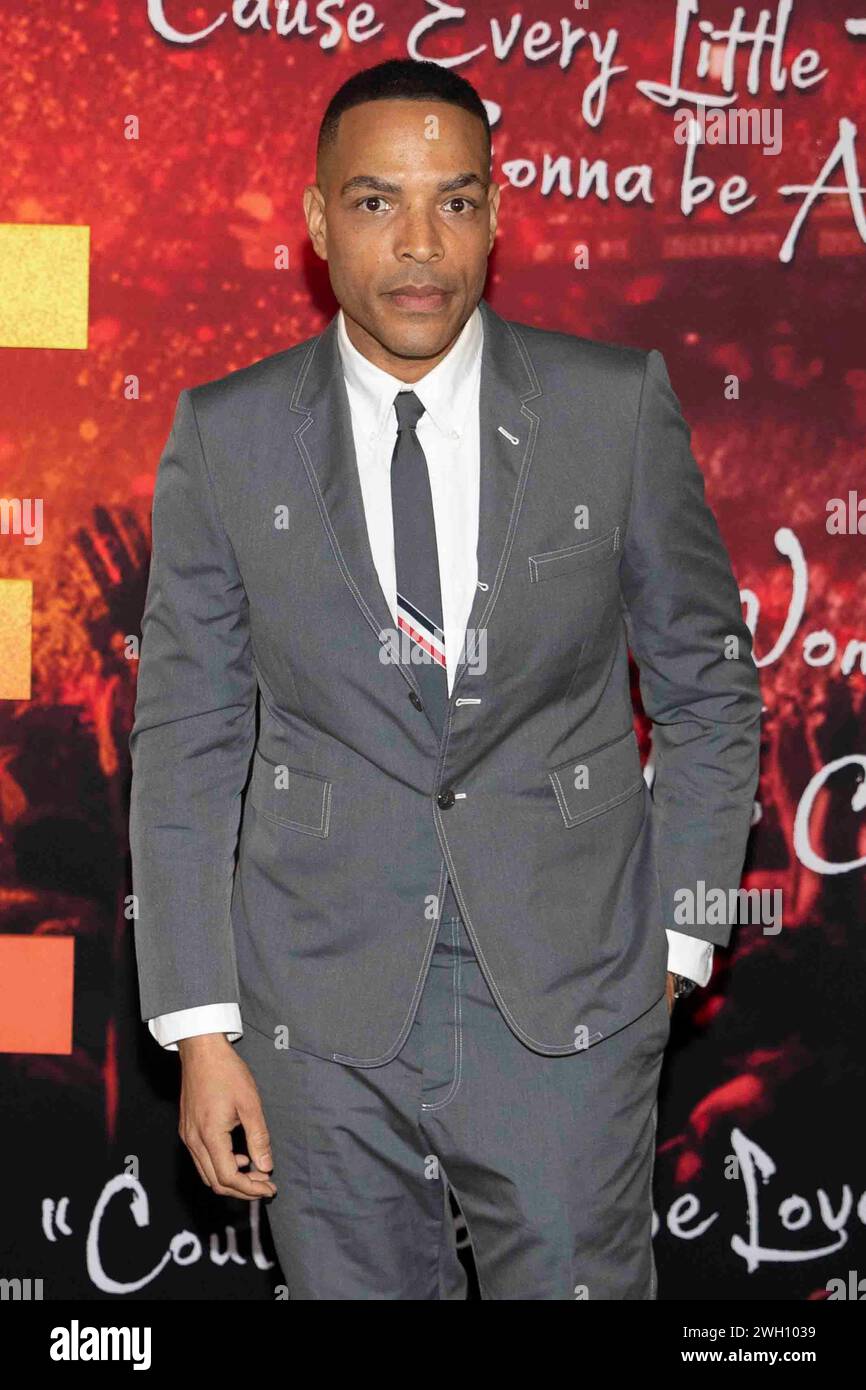 Reinaldo Green Los Angeles, USA. 06th Feb, 2024. Reinaldo Marcus Green attends the ...