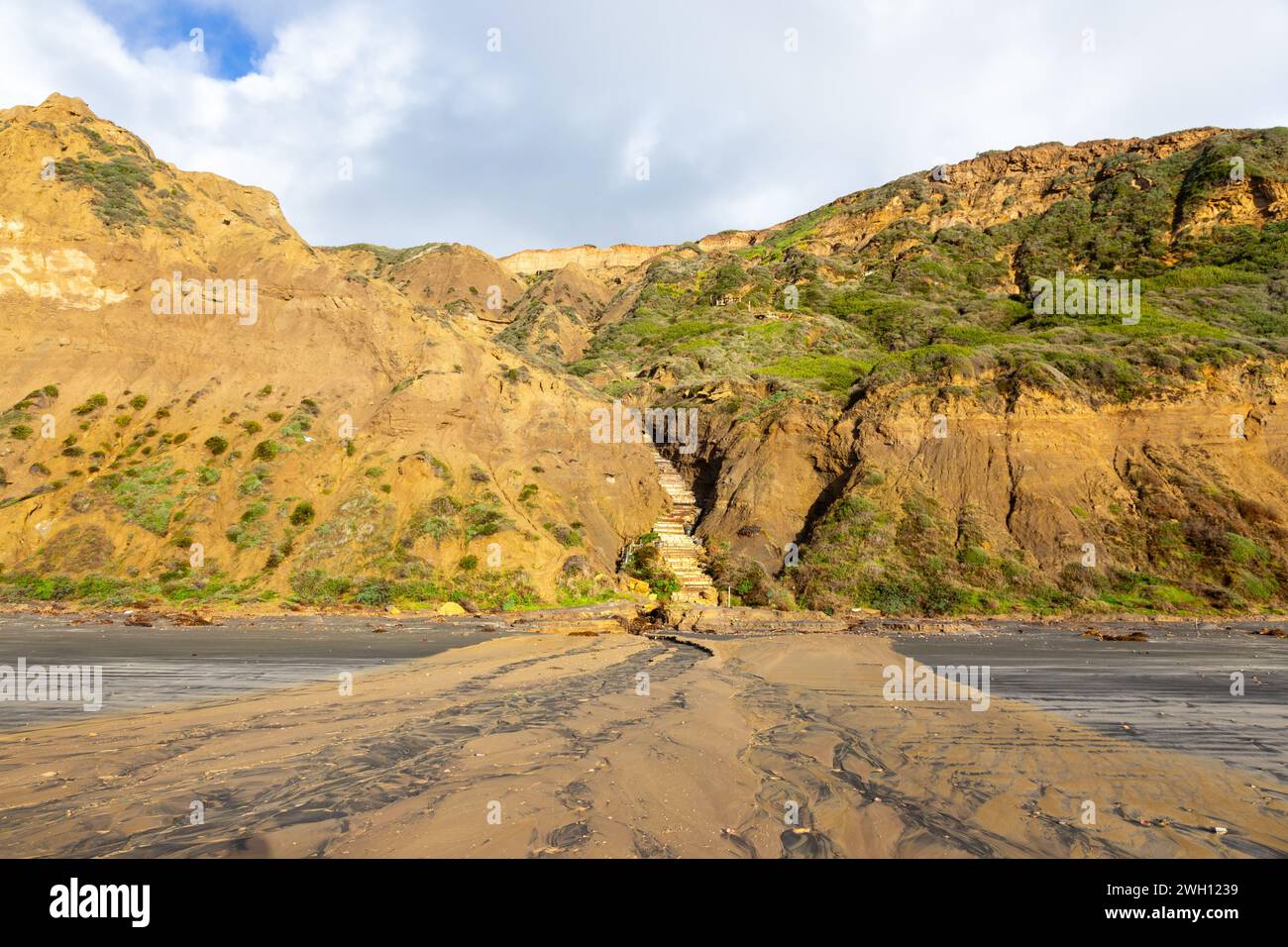 Sandstone Cliff Mudslide Torrey Pines State Reserve Beach. Historic Atmospheric River Rain Storm Floods 2024 San Diego Southern California Coast USA Stock Photo