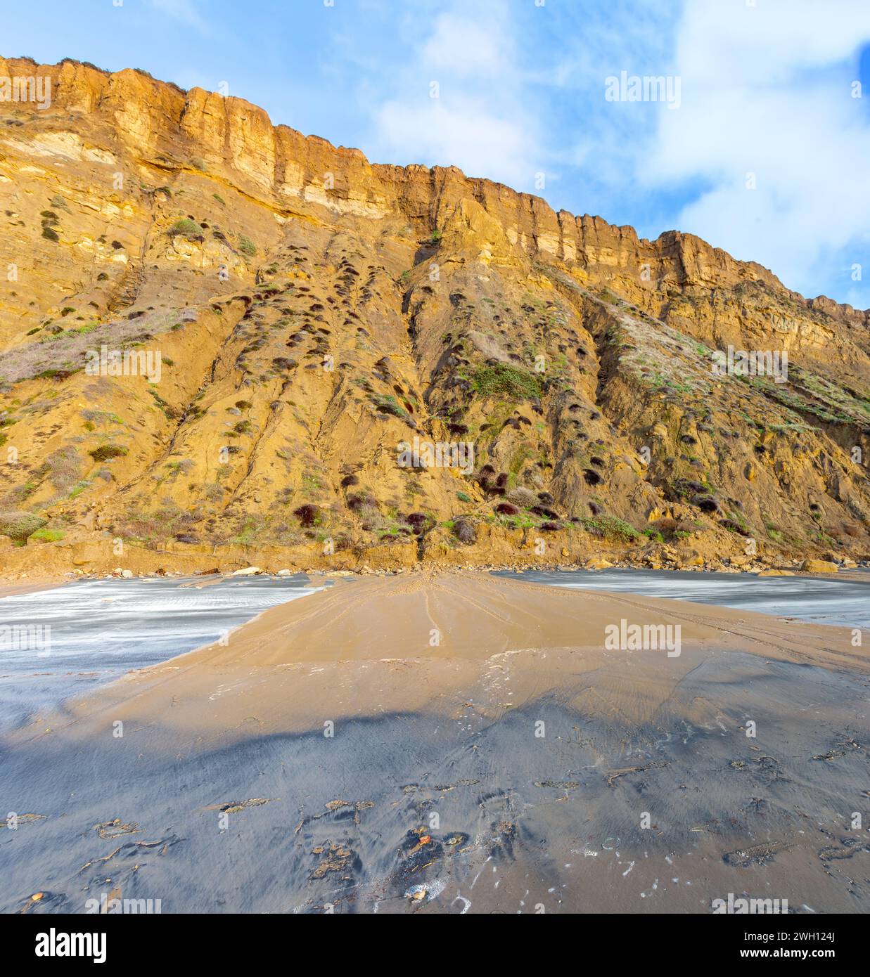 Sandstone Cliff Mudslide Torrey Pines State Reserve Beach. Historic Atmospheric River Rain Storm Floods 2024 San Diego Southern California Coast USA Stock Photo