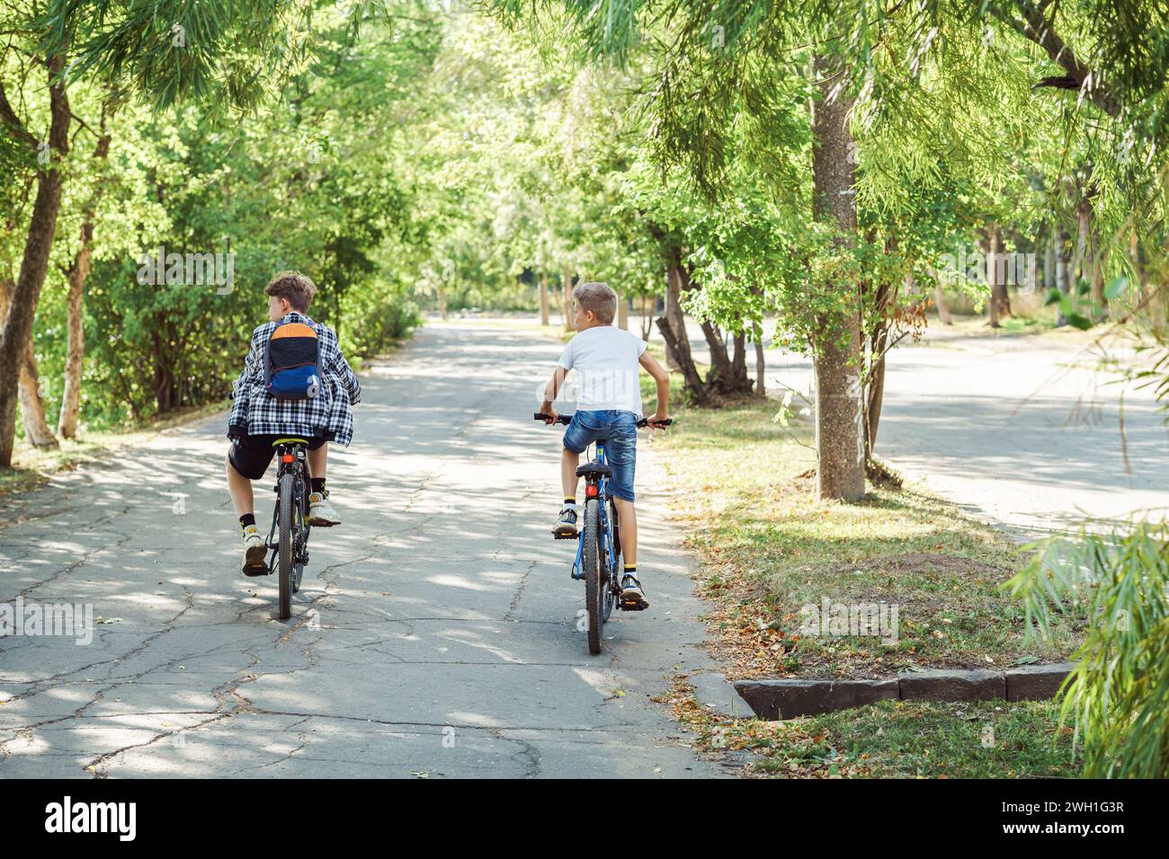 Two joyful boys riding bicycles on bicycle lane in park with lush ...